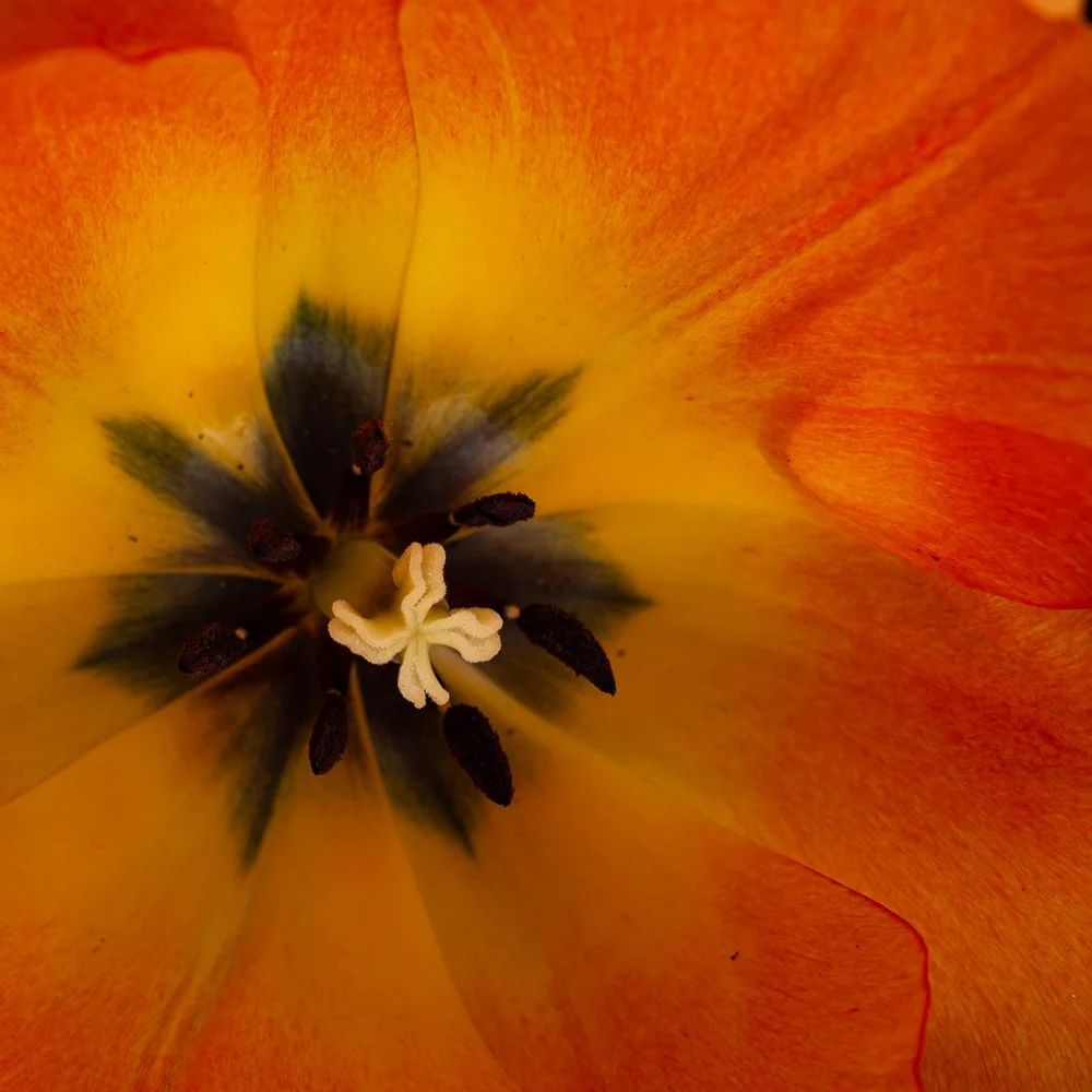 L1000910-Edit.jpg