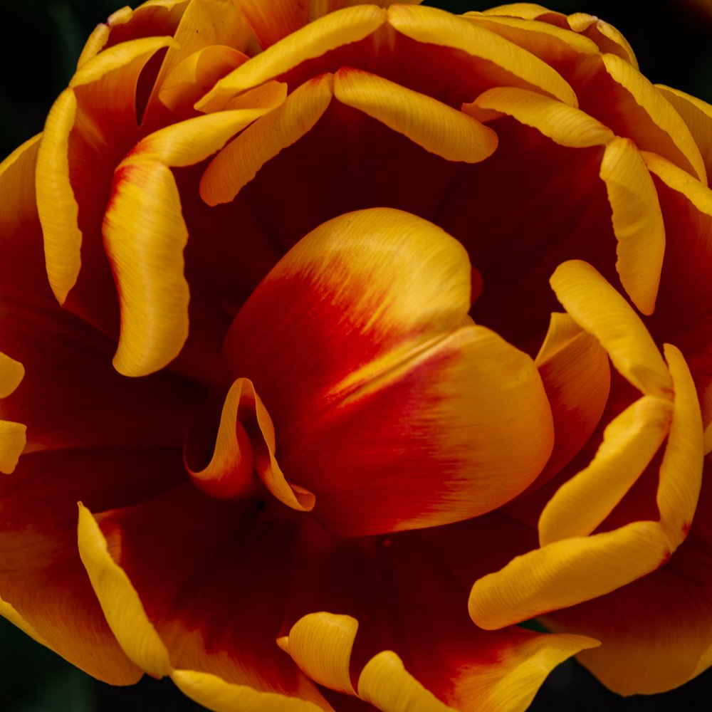 L1000900-Edit.jpg