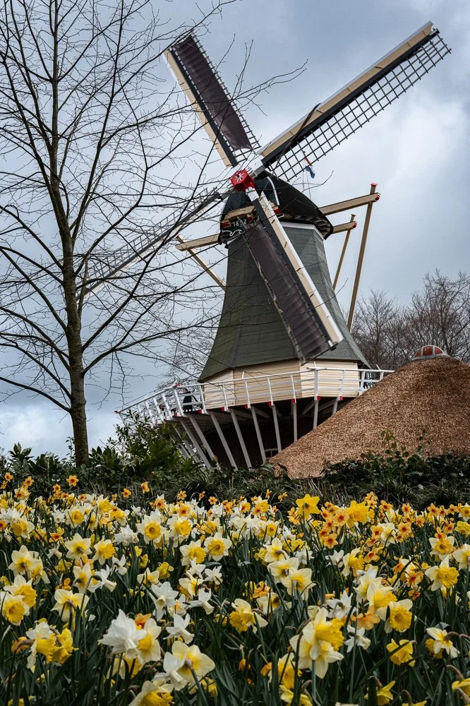 L1000772-Edit.jpg