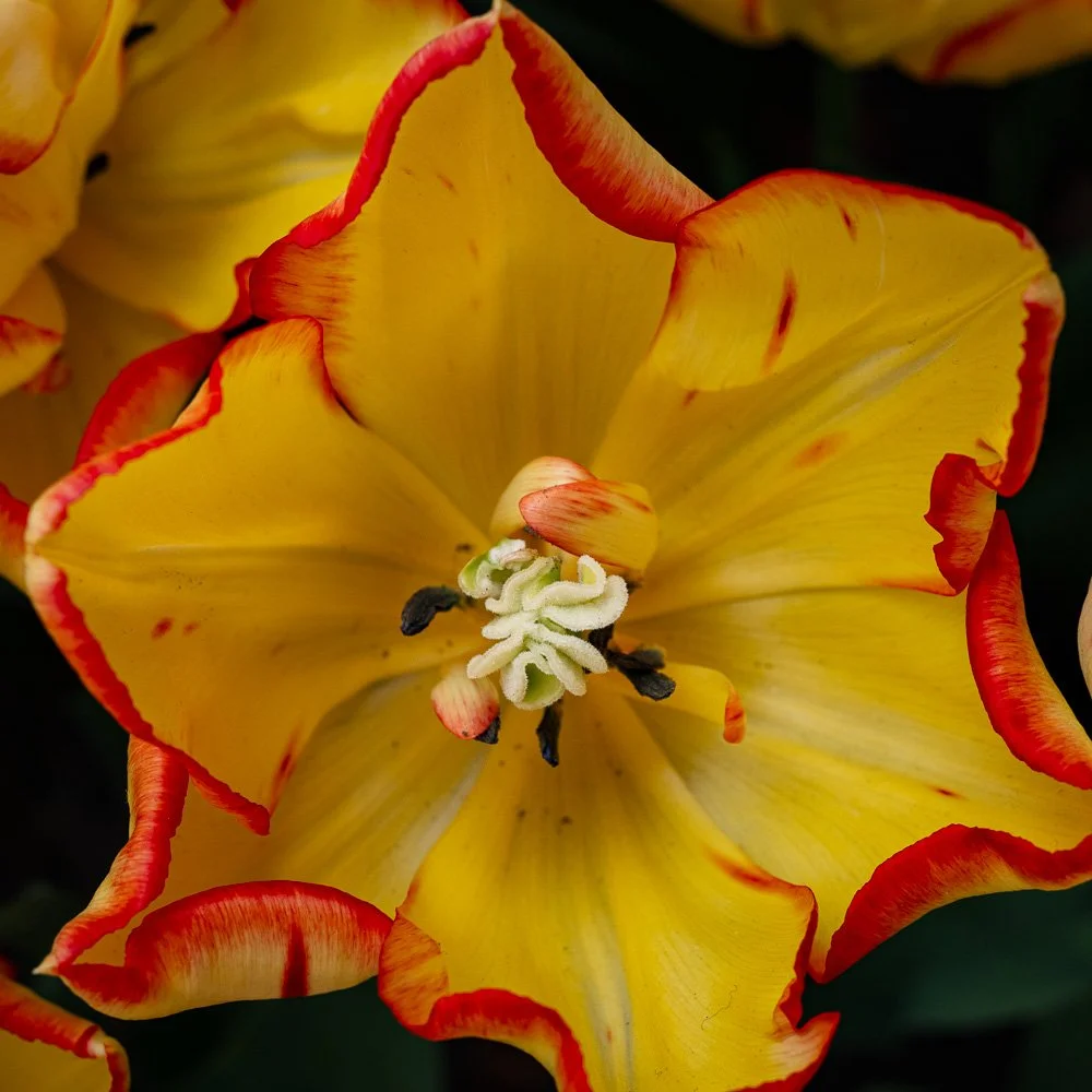 L1000951-Edit.jpg