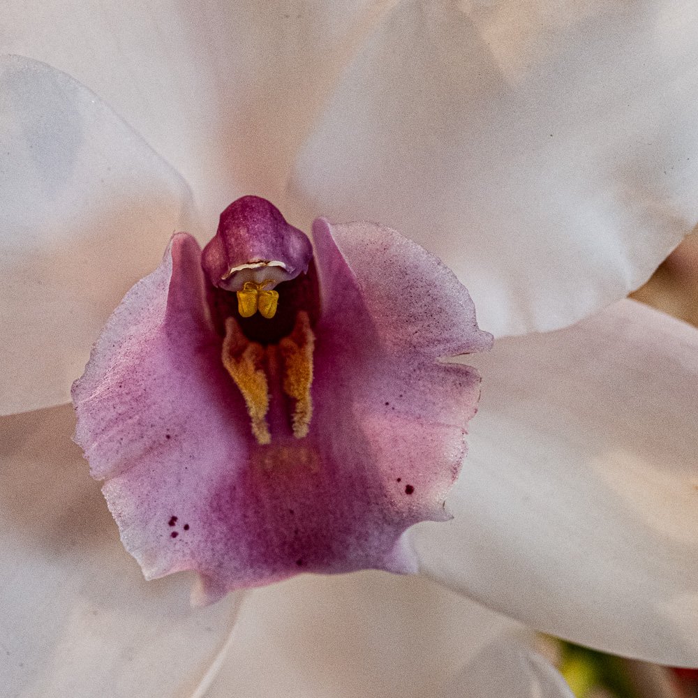 L1000957-Edit.jpg