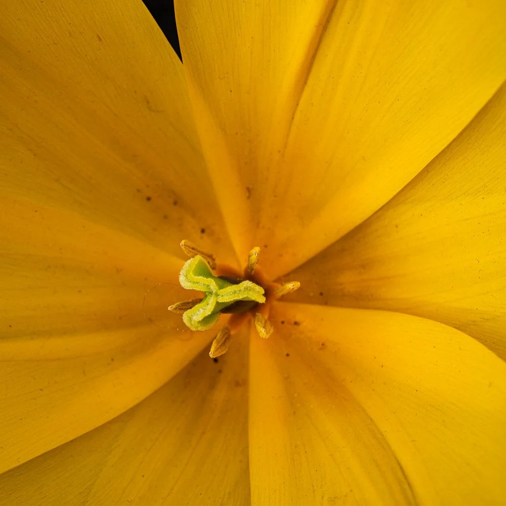 L1000878-Edit.jpg