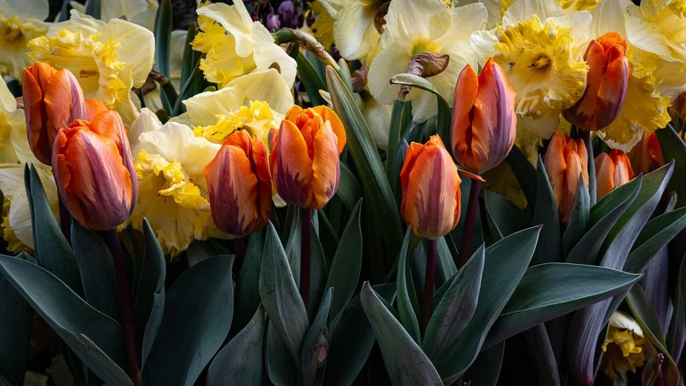 L1000752-Edit.jpg