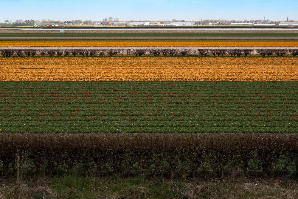 L1000744-Edit.jpg