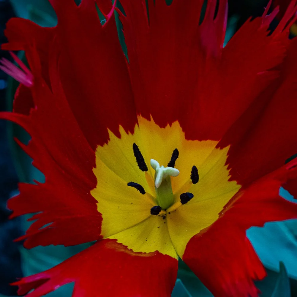 L1000954-Edit.jpg