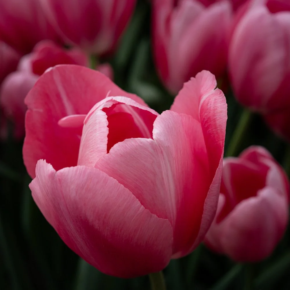 L1000870-Edit.jpg