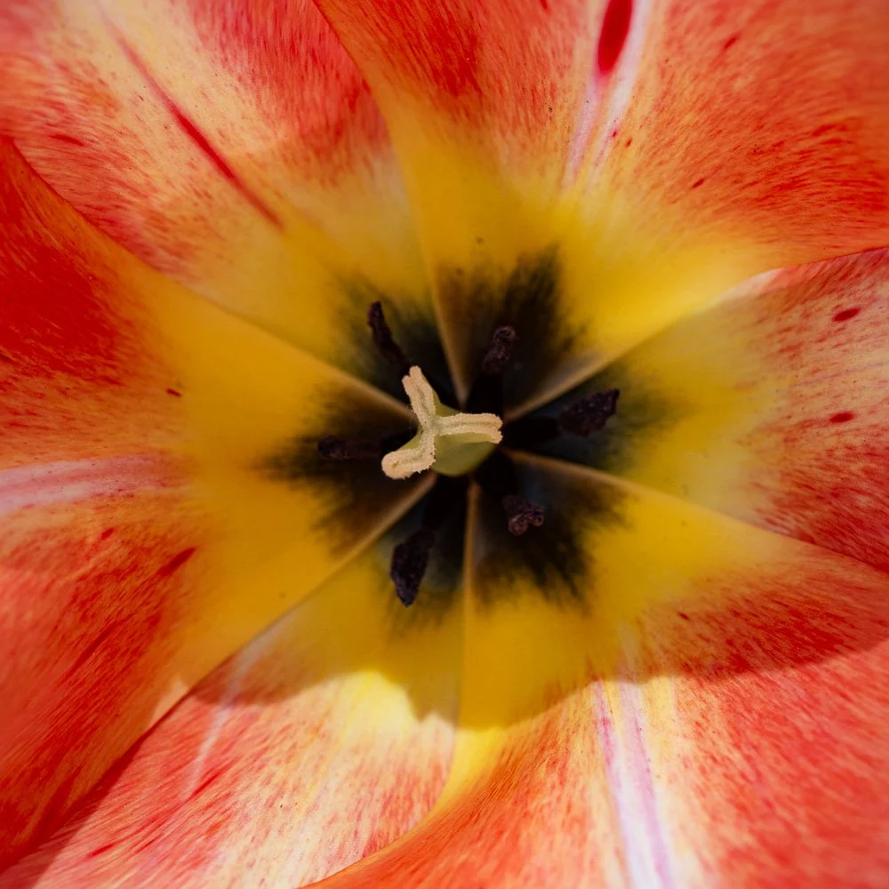 L1000874-Edit.jpg