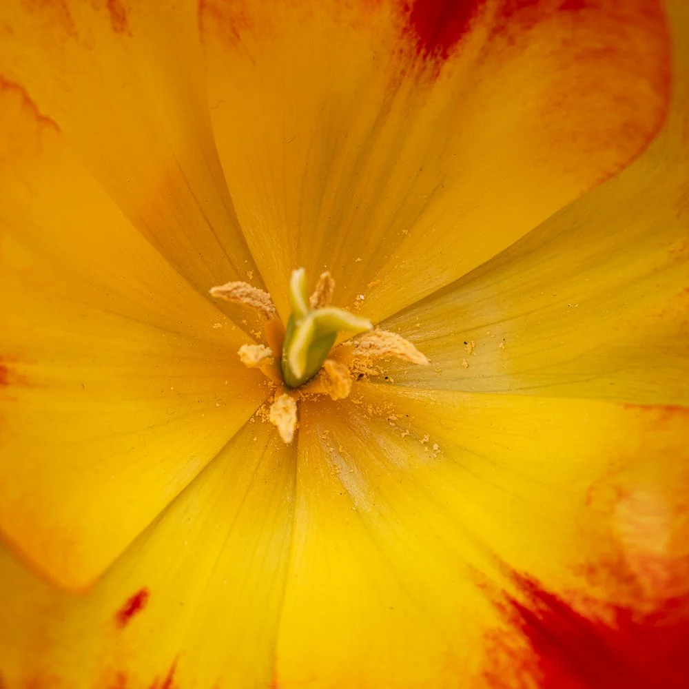 L1000875-Edit.jpg