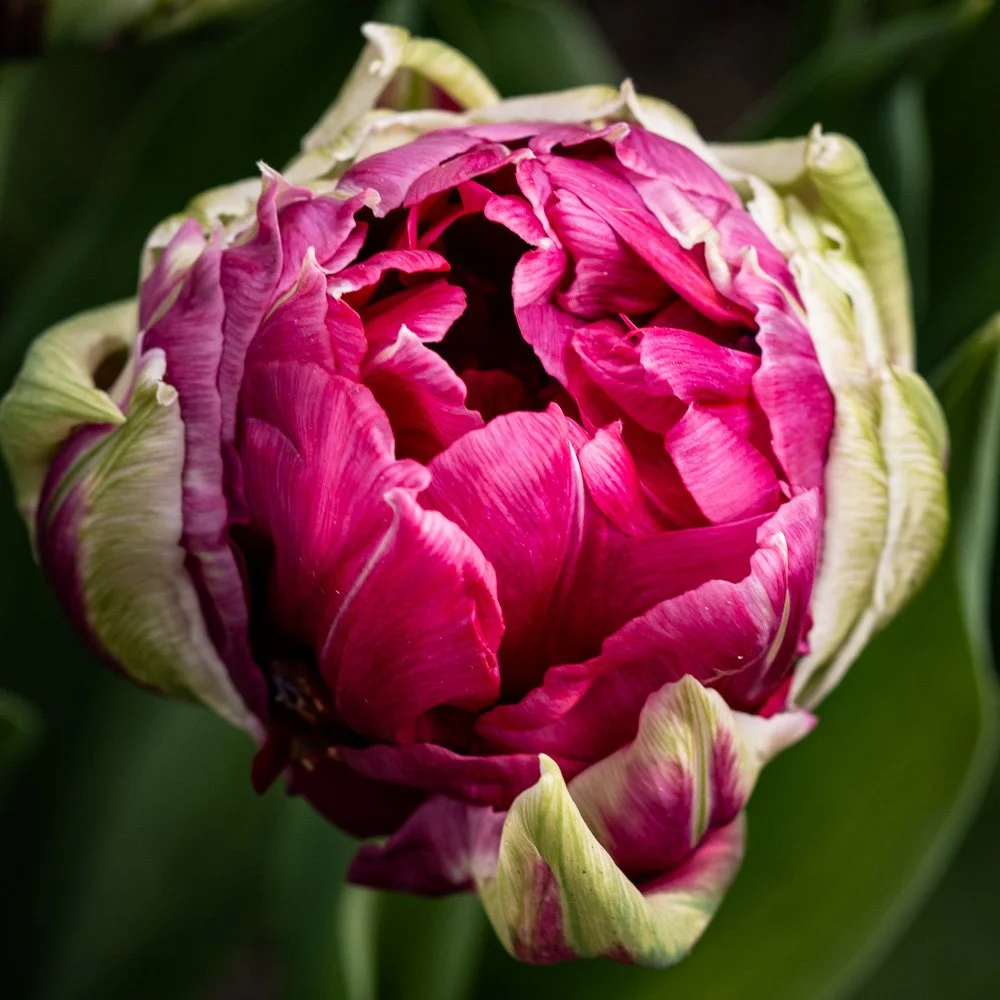 L1000903-Edit-2.jpg