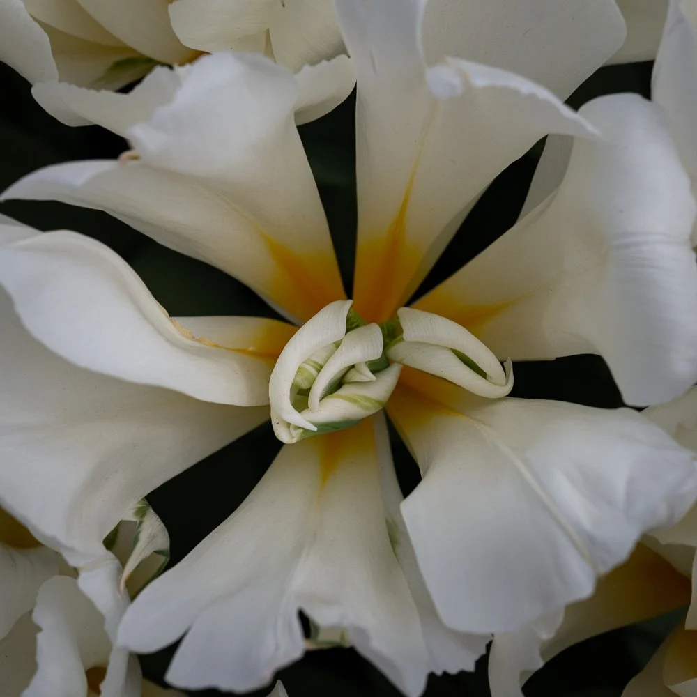 L1000942-Edit.jpg