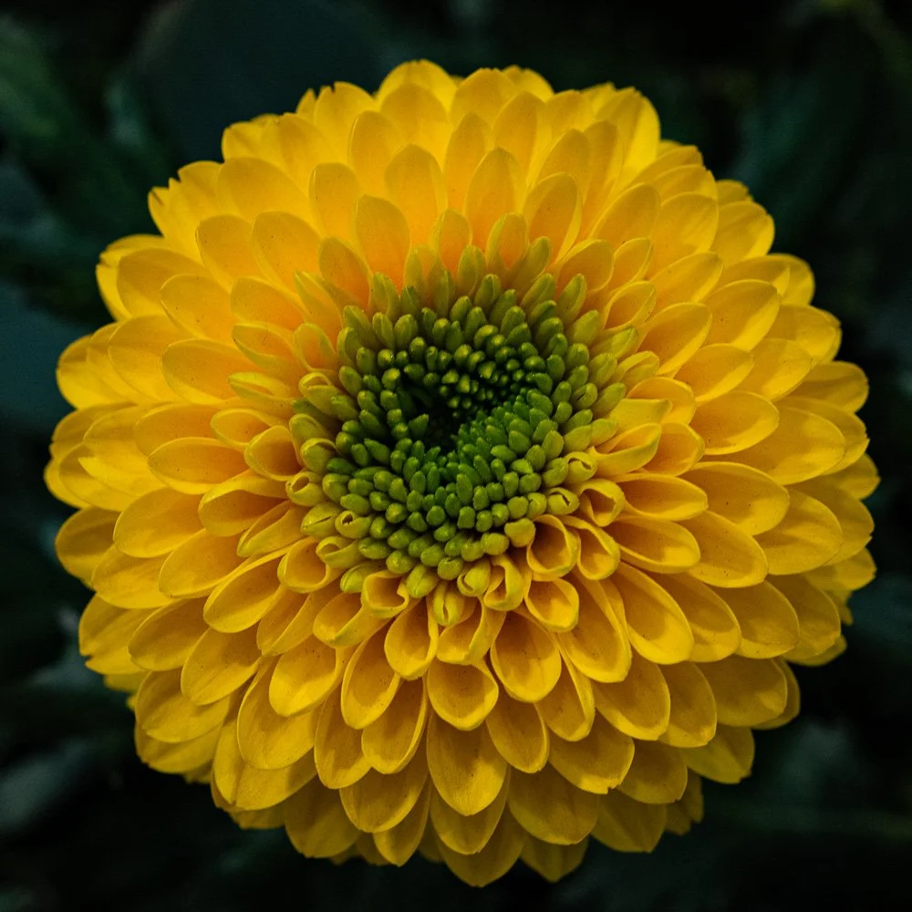 L1000956-Edit.jpg