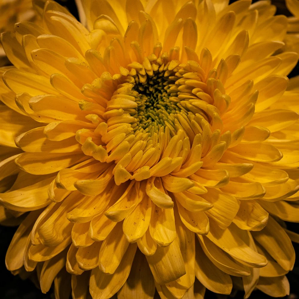 L1000955-Edit.jpg