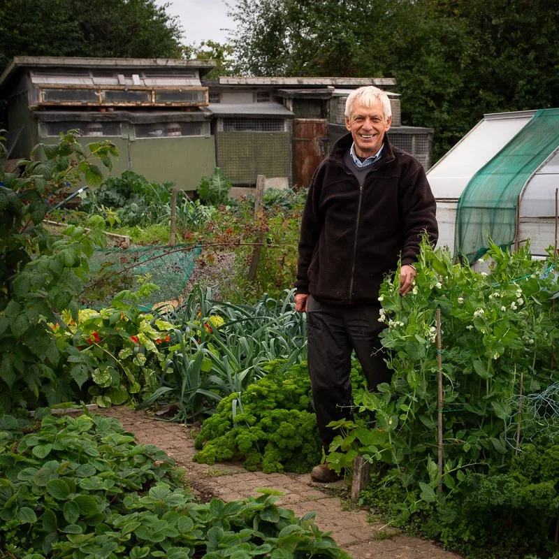 allotment 13 Oct 13 - 017-7.jpg