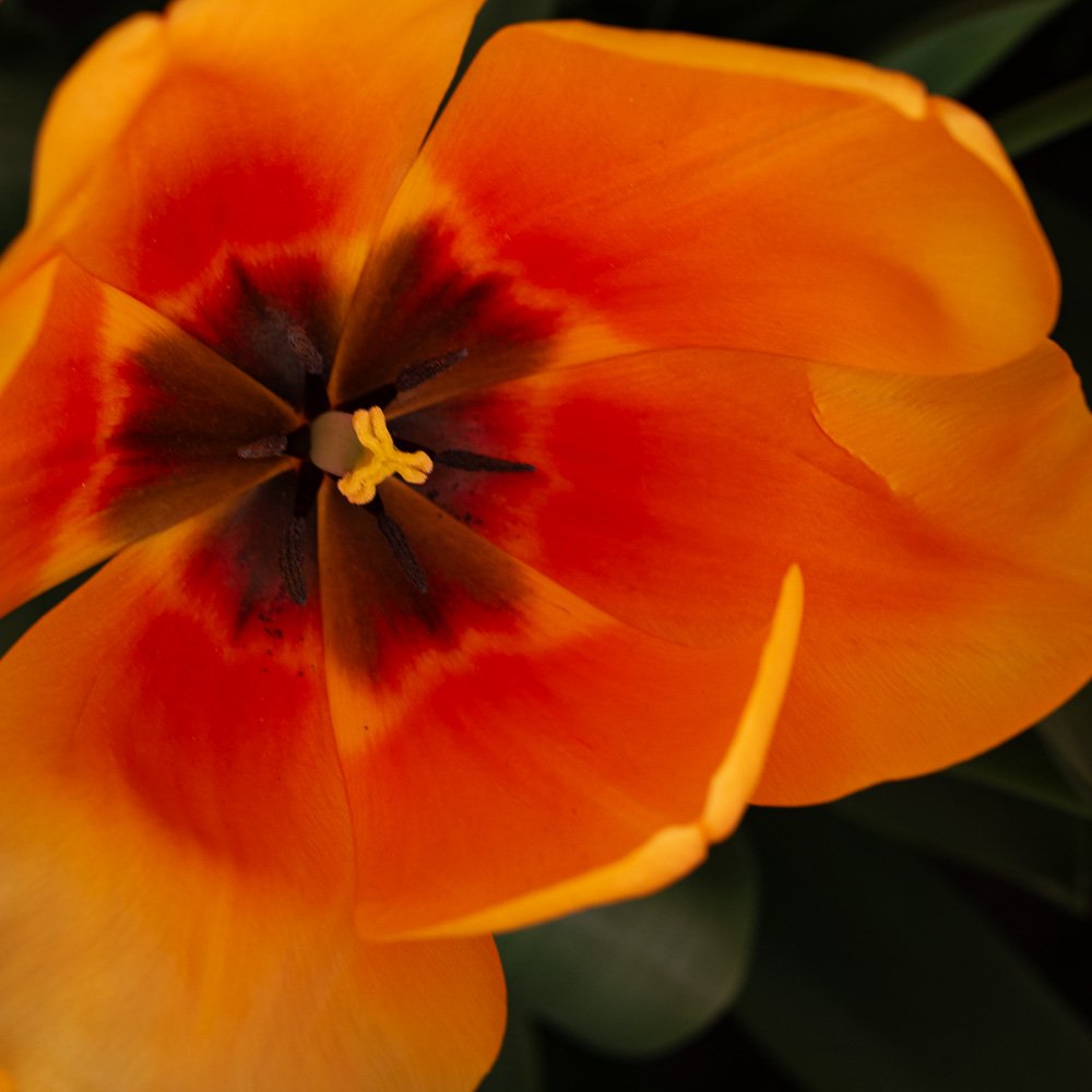 L1000922-Edit.jpg