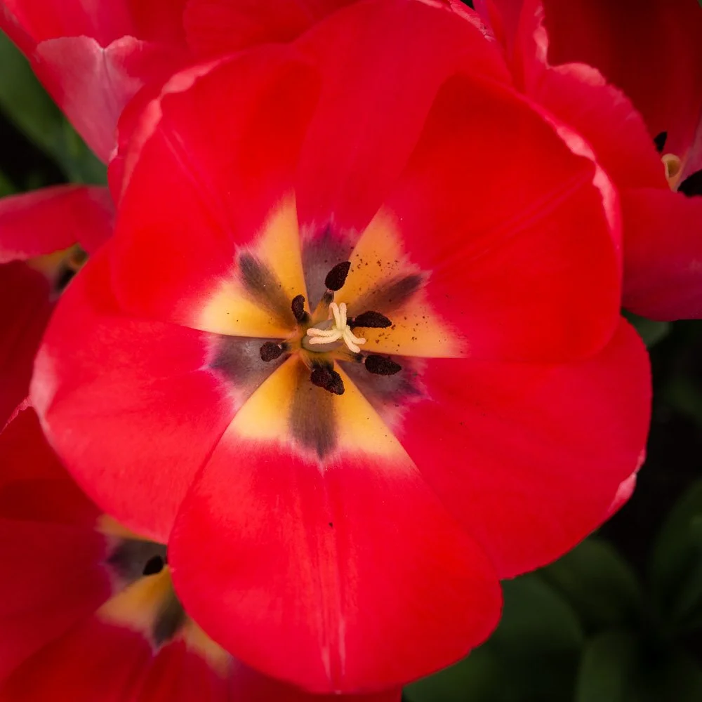L1000925-Edit.jpg