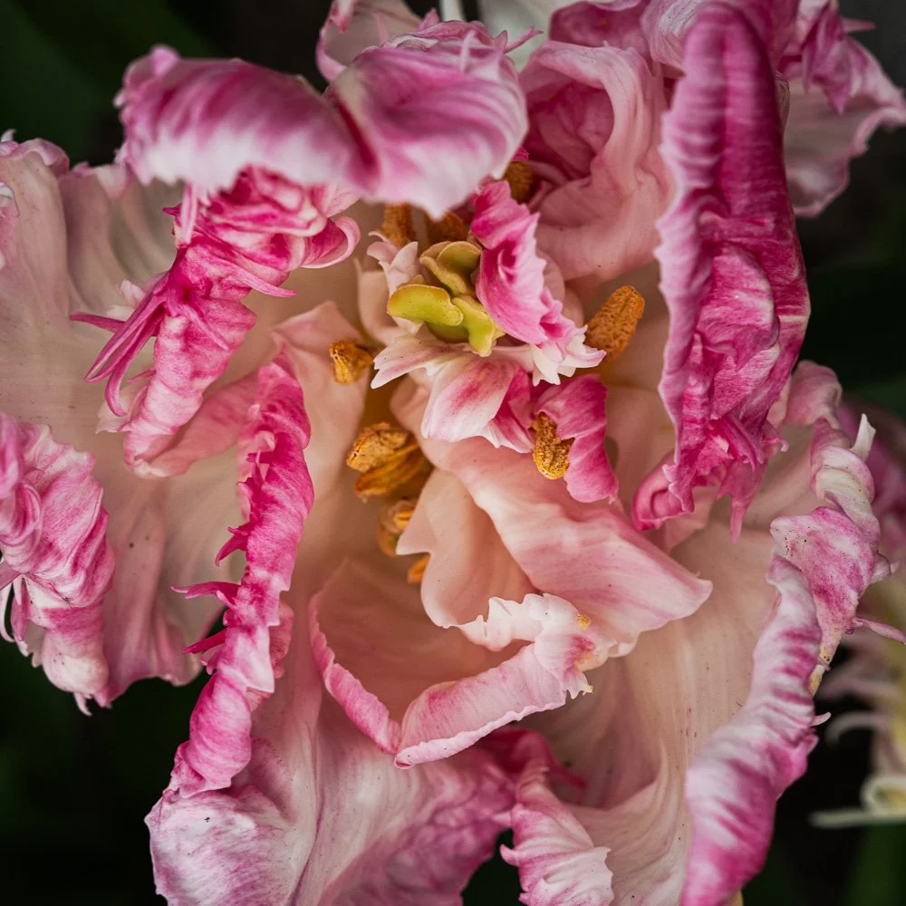 L1000881-Edit.jpg