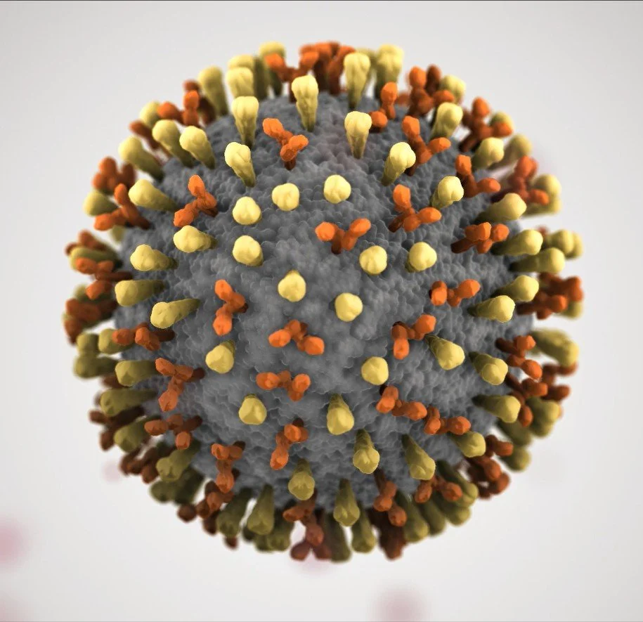 Screenshot 2026-02-09 155948.jpg