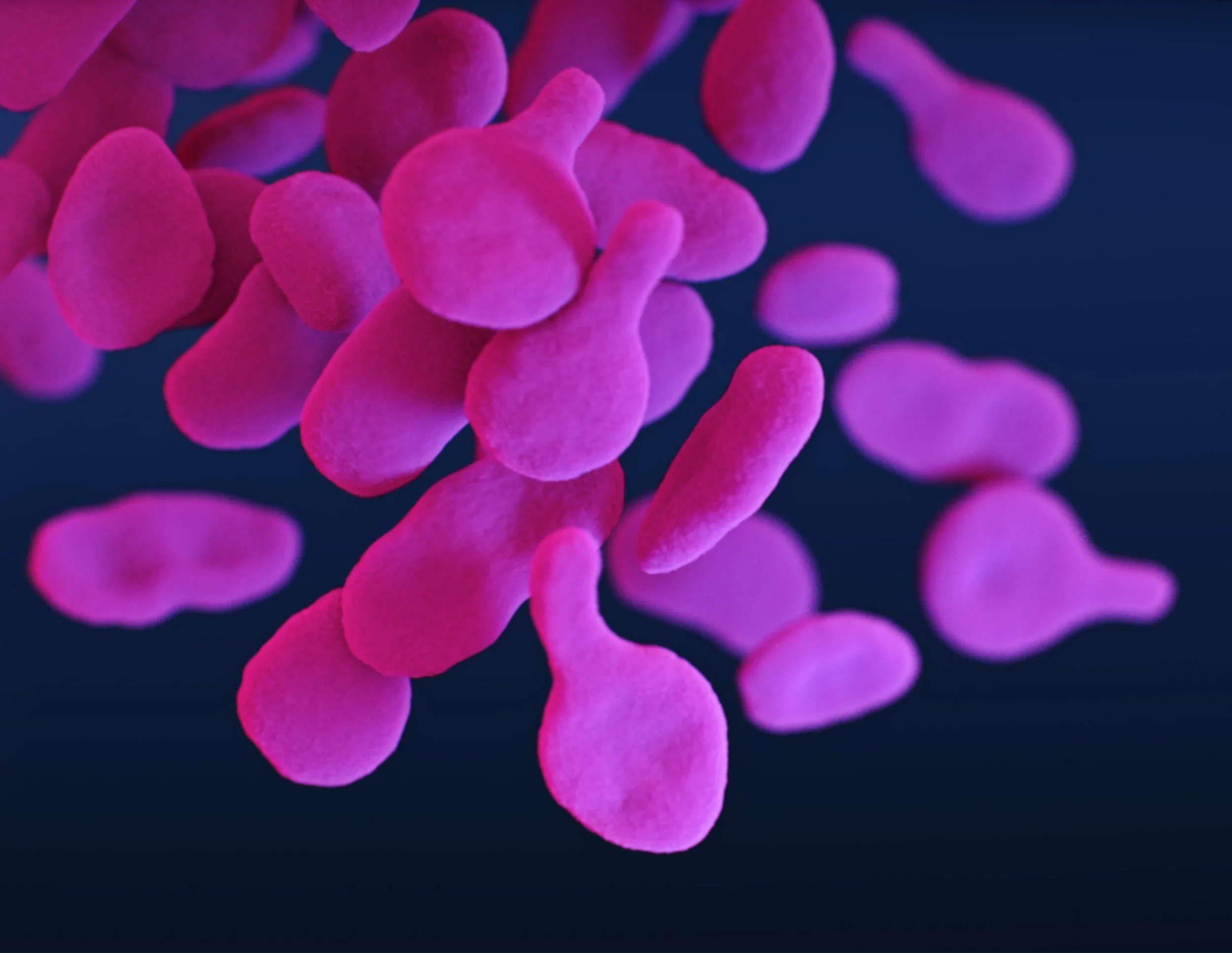 Mycoplasma_genitalium