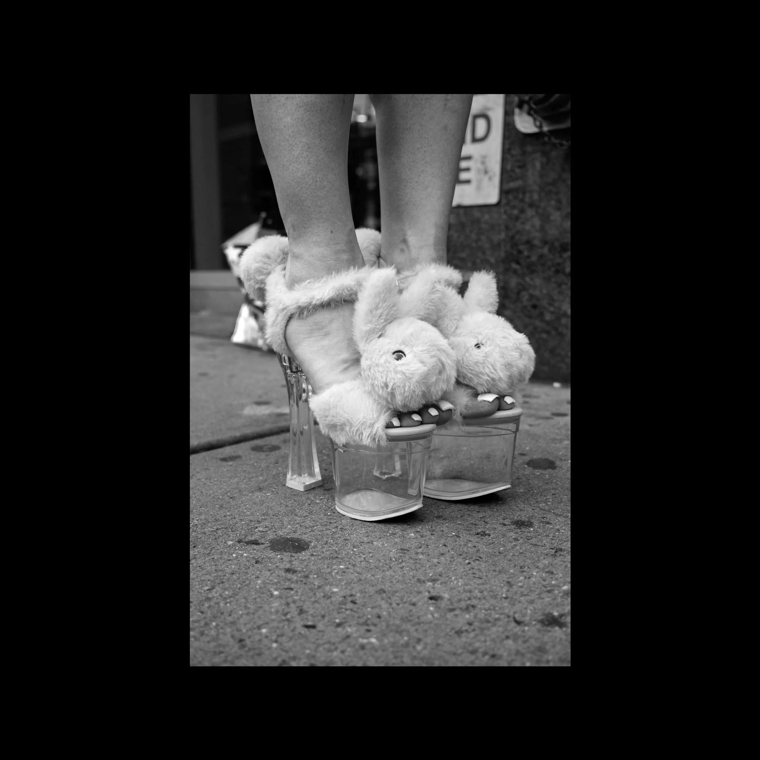 'Provocation' Metal Print 30 x 45