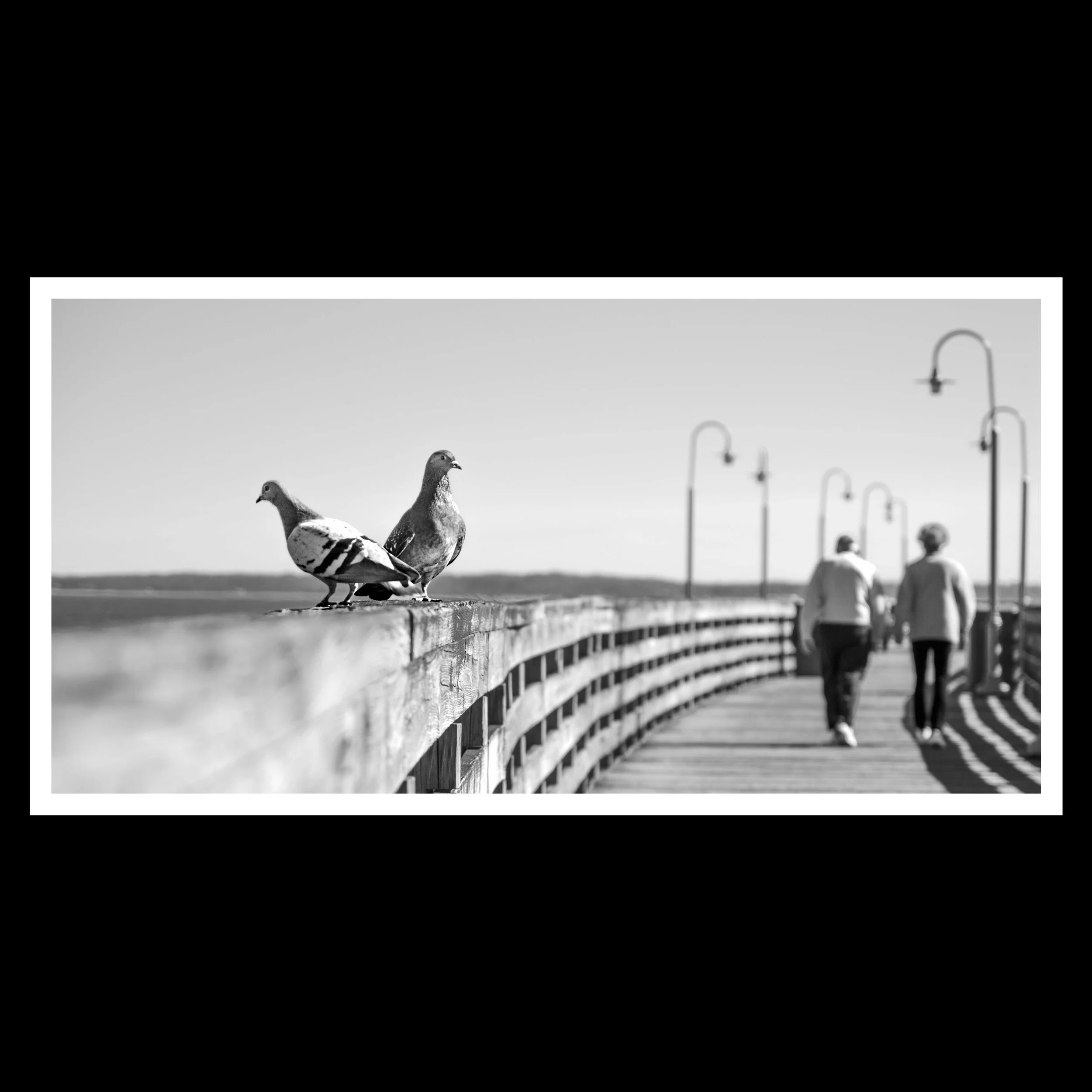37EC814A-2108-4738-B9DF-74D92282C940.JPEG