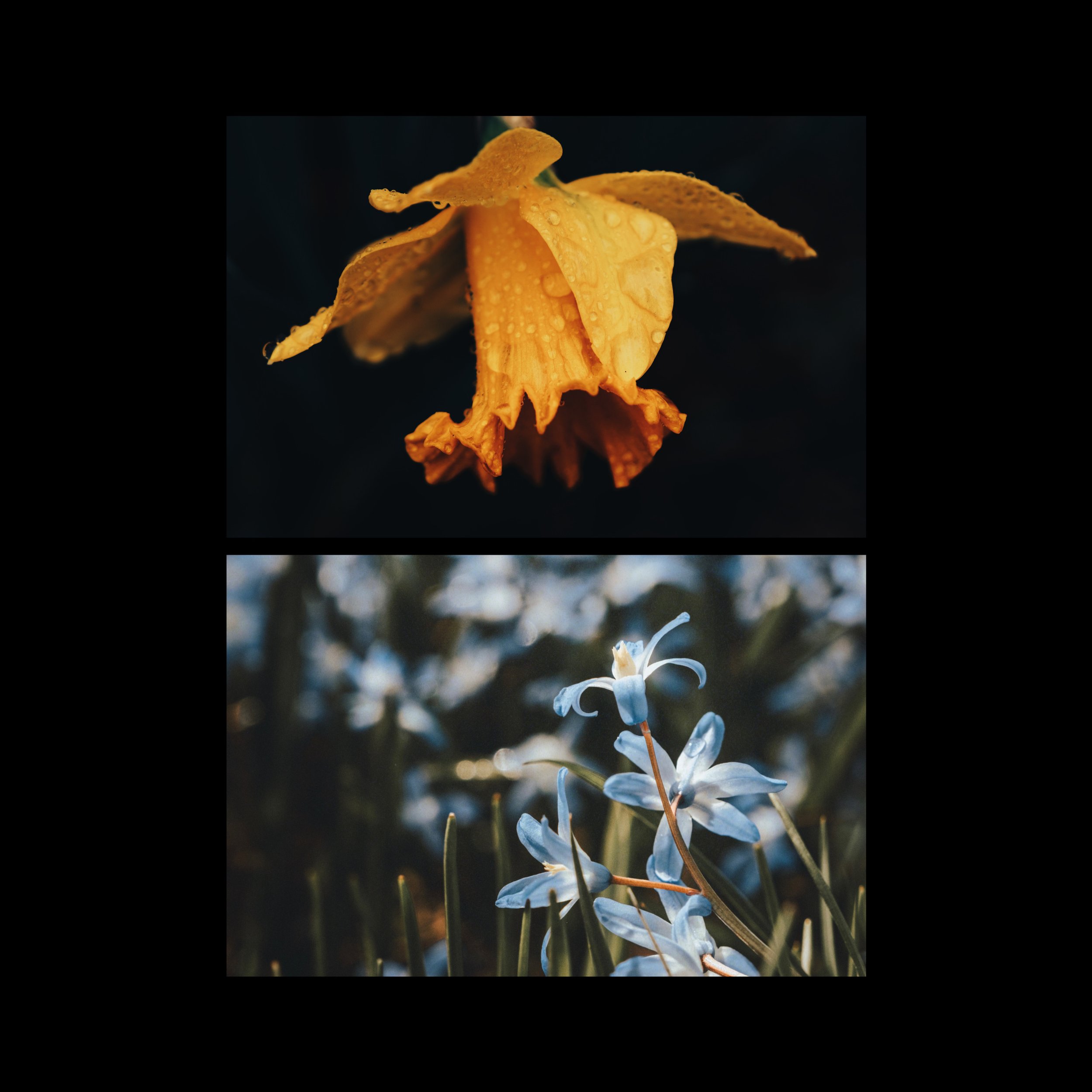 9B3D3DA1-140C-4F17-B461-6F82F9C366AF 2.JPEG