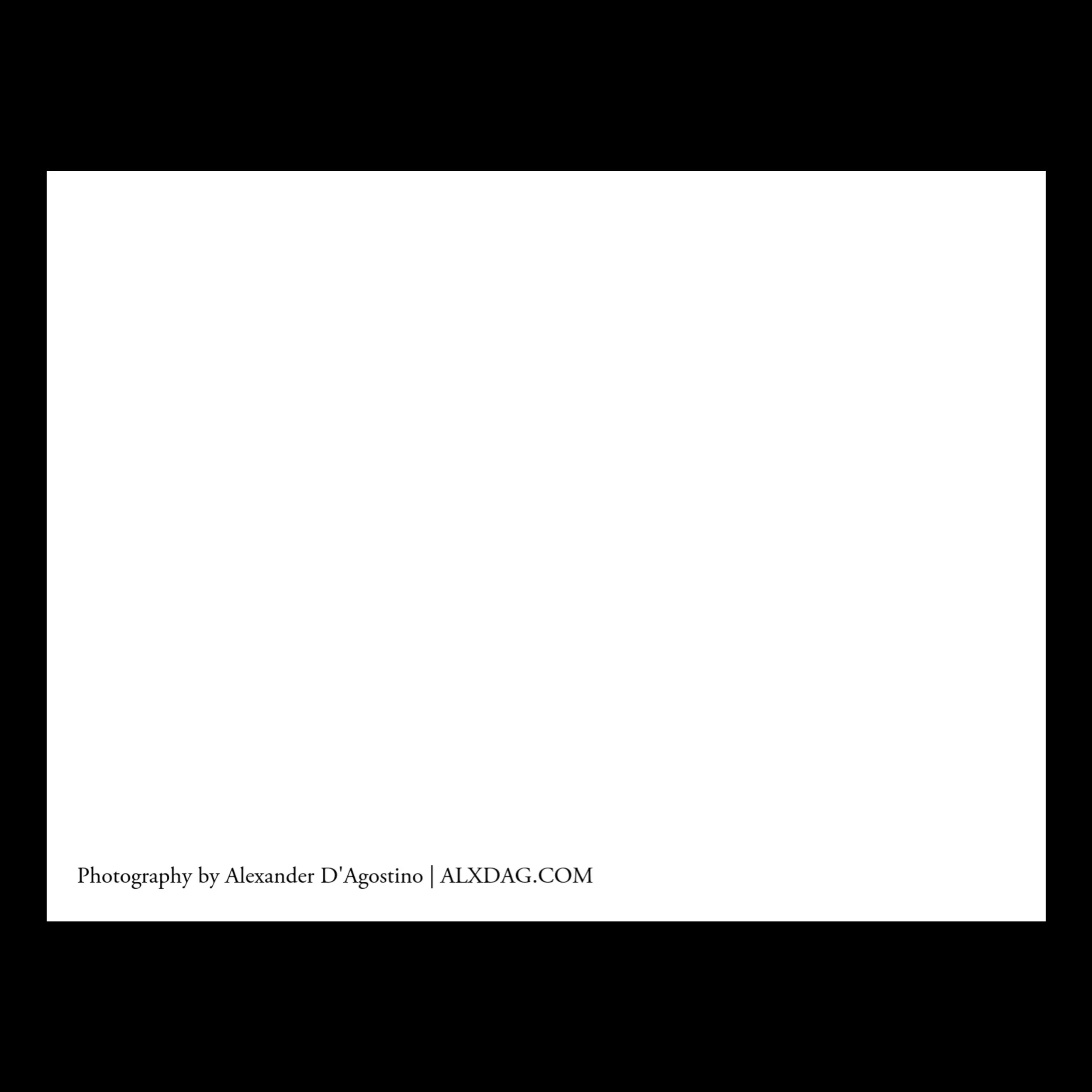 A1535865-21AC-43D7-856F-65AC1A454AB5.JPEG