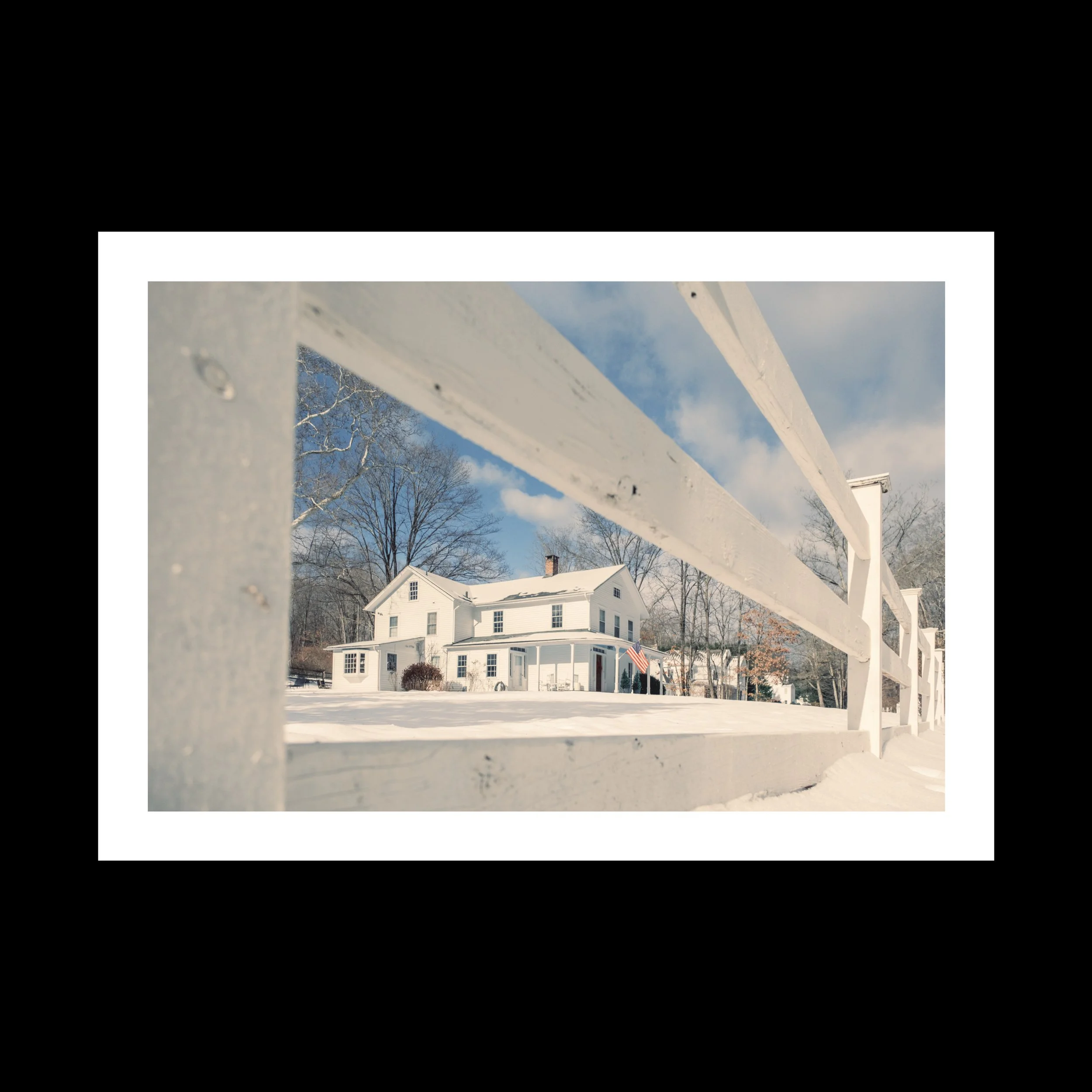 'Hibernal' Paper Print 24 x 36