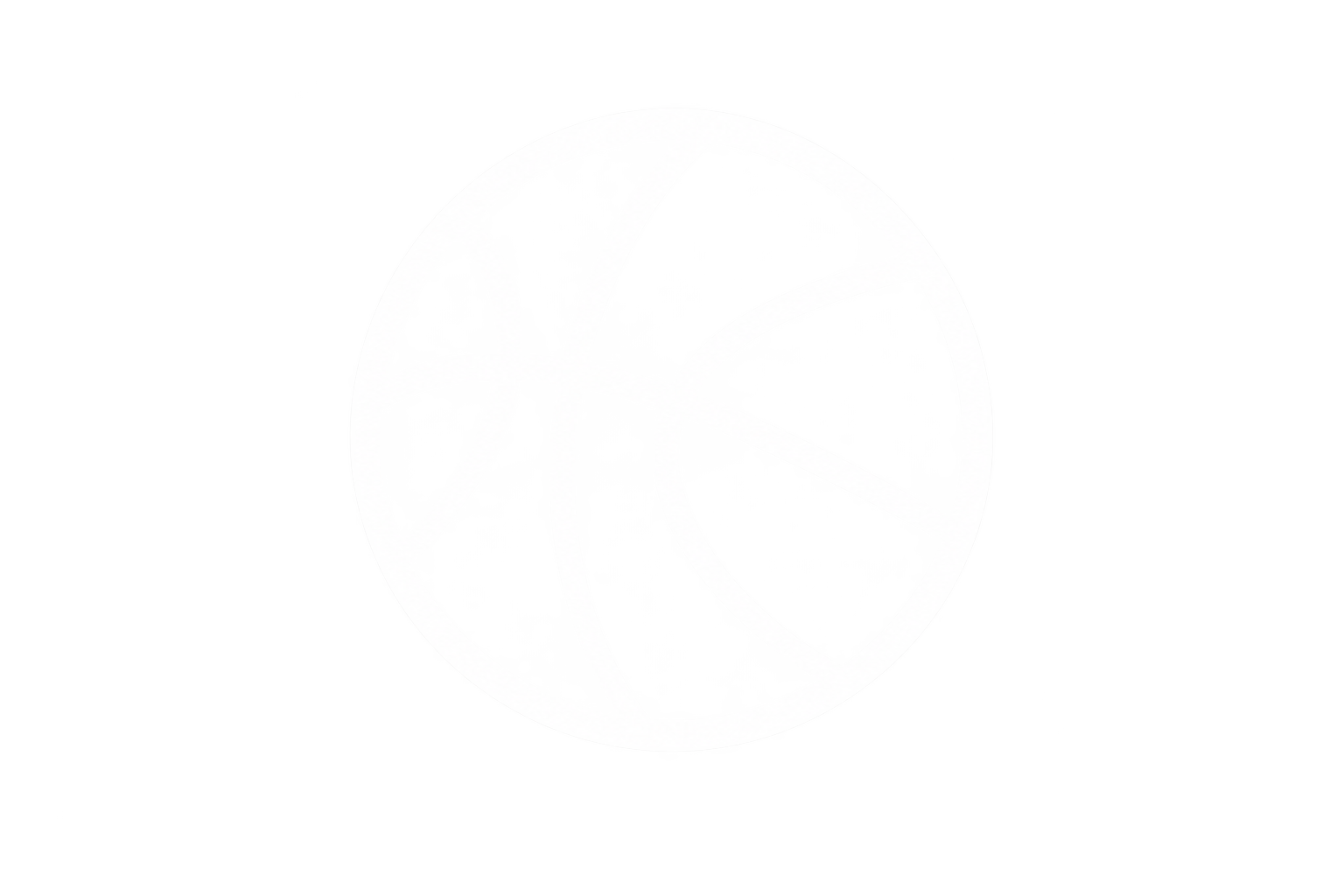 HVN Sports