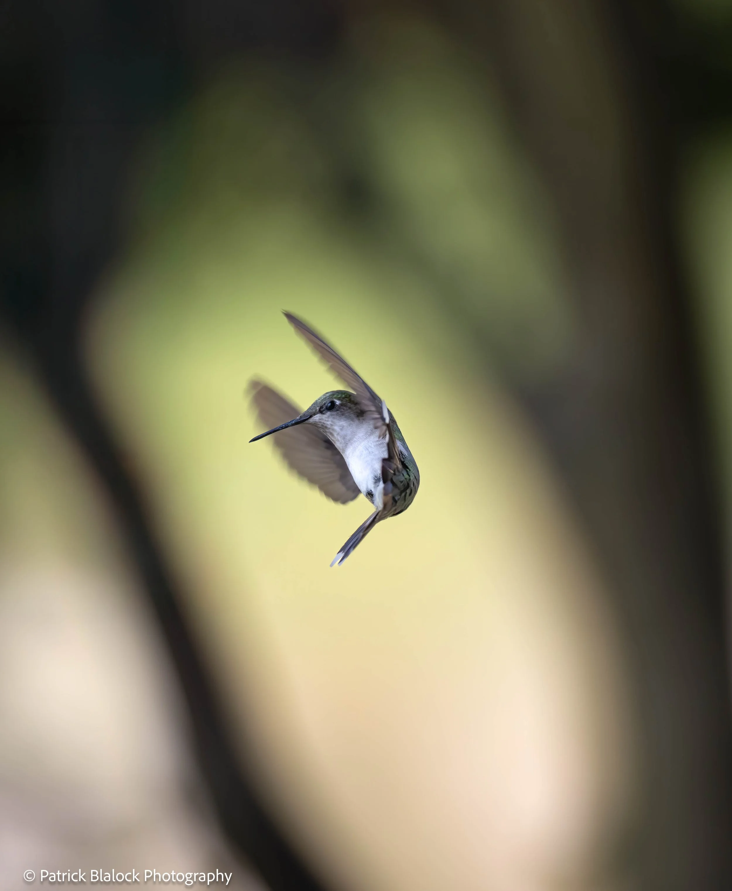 Intermediate Service