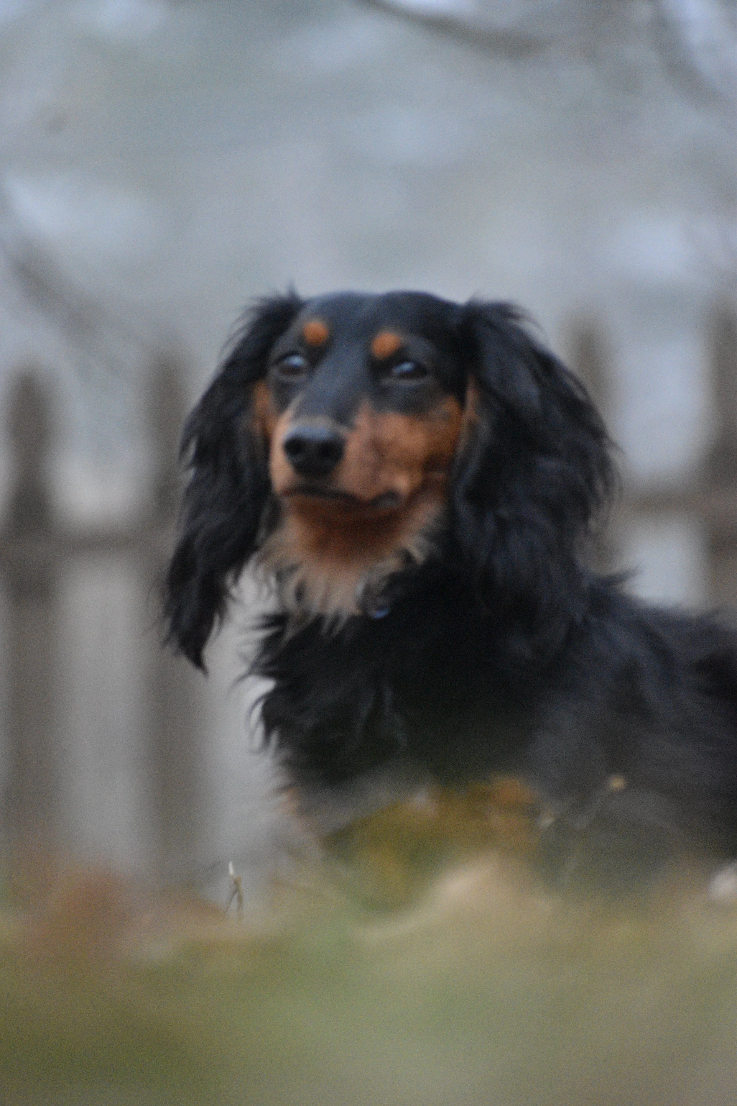 DSC_0283.JPG