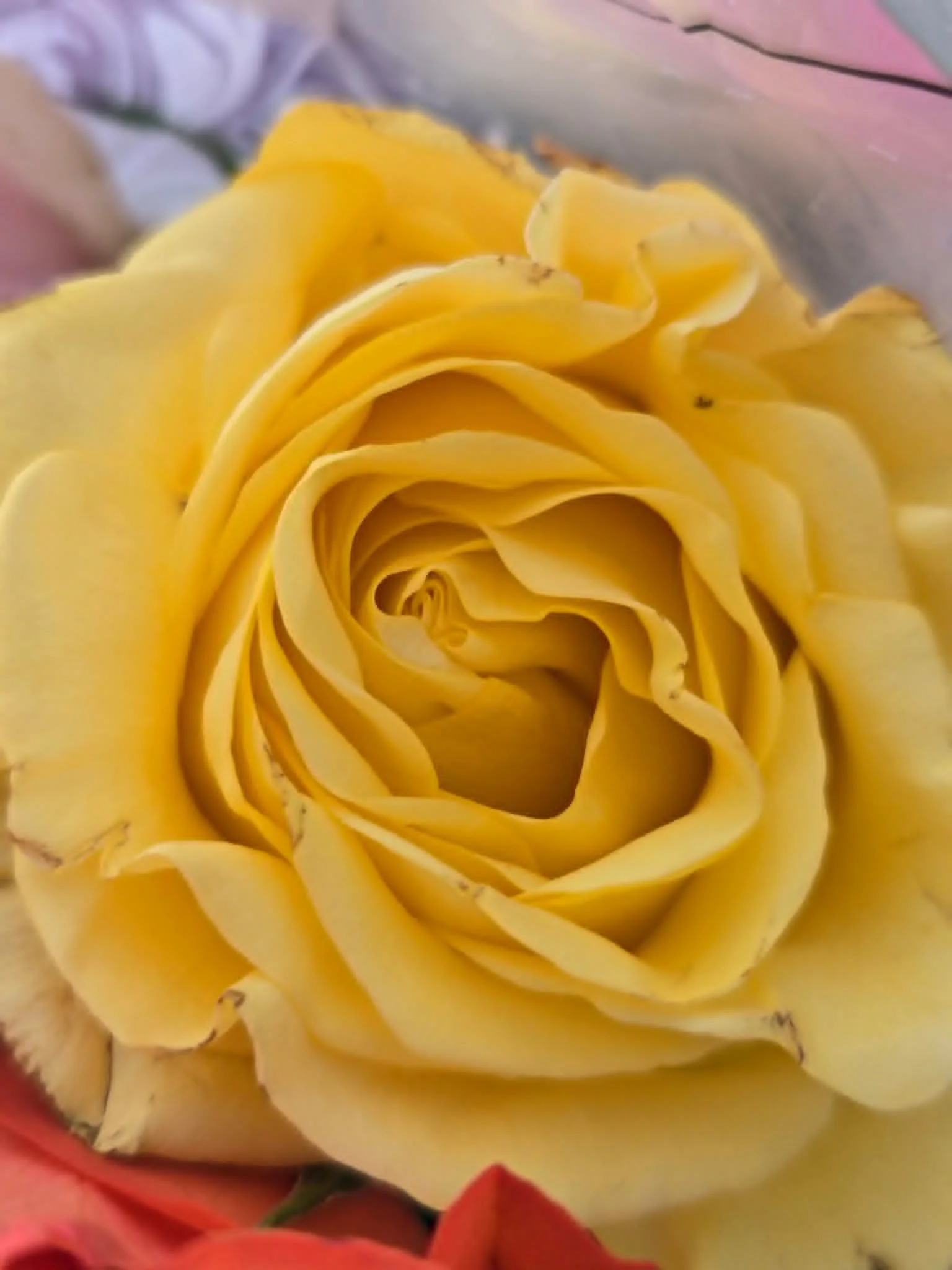 0954843c-8754-49c2-a75c-6d56f95158ca.jpg