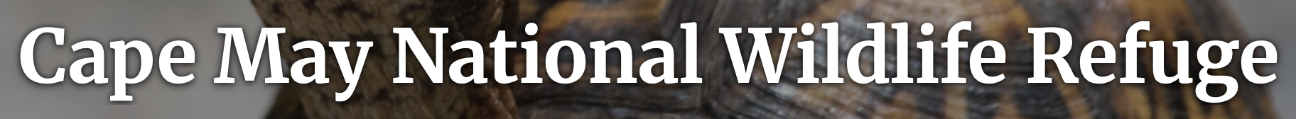 Community Links Cottagers' Association of Cape May