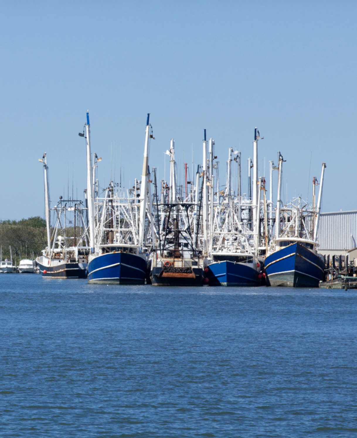 About Cottagers' Association of Cape May