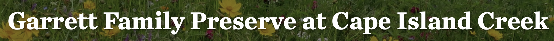 Community Links Cottagers' Association of Cape May