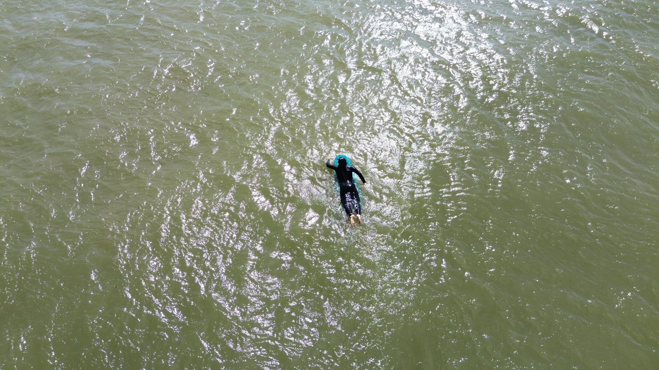 A person swimming in greenish water from an aerial view, wearing a black wetsuit and a blue swim cap.