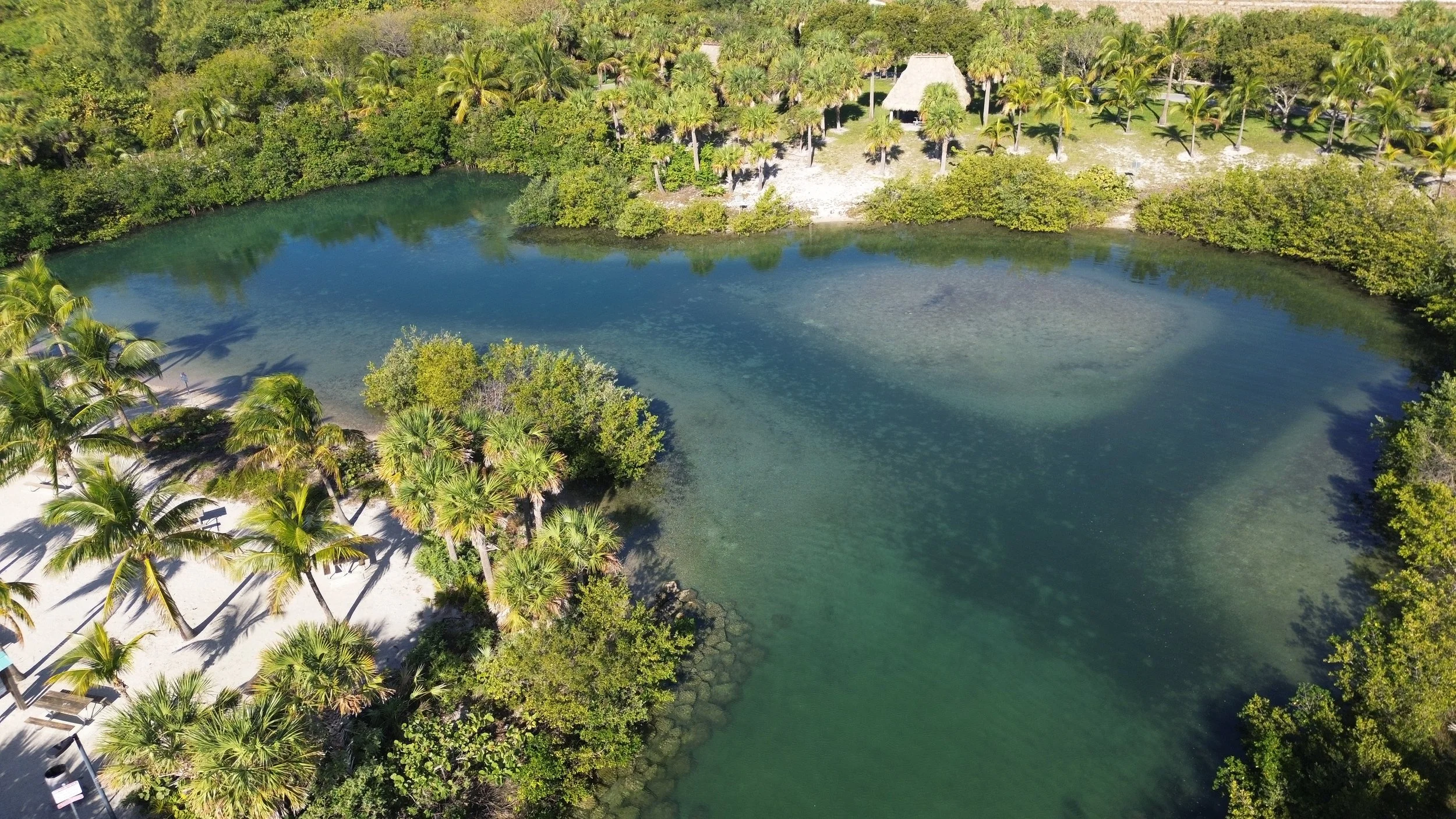 A tropical resort with a clear, greenish-blue lagoon surrounded by lush palm trees and greenery, with a sandy shoreline and thatched-roof huts visible in the background.