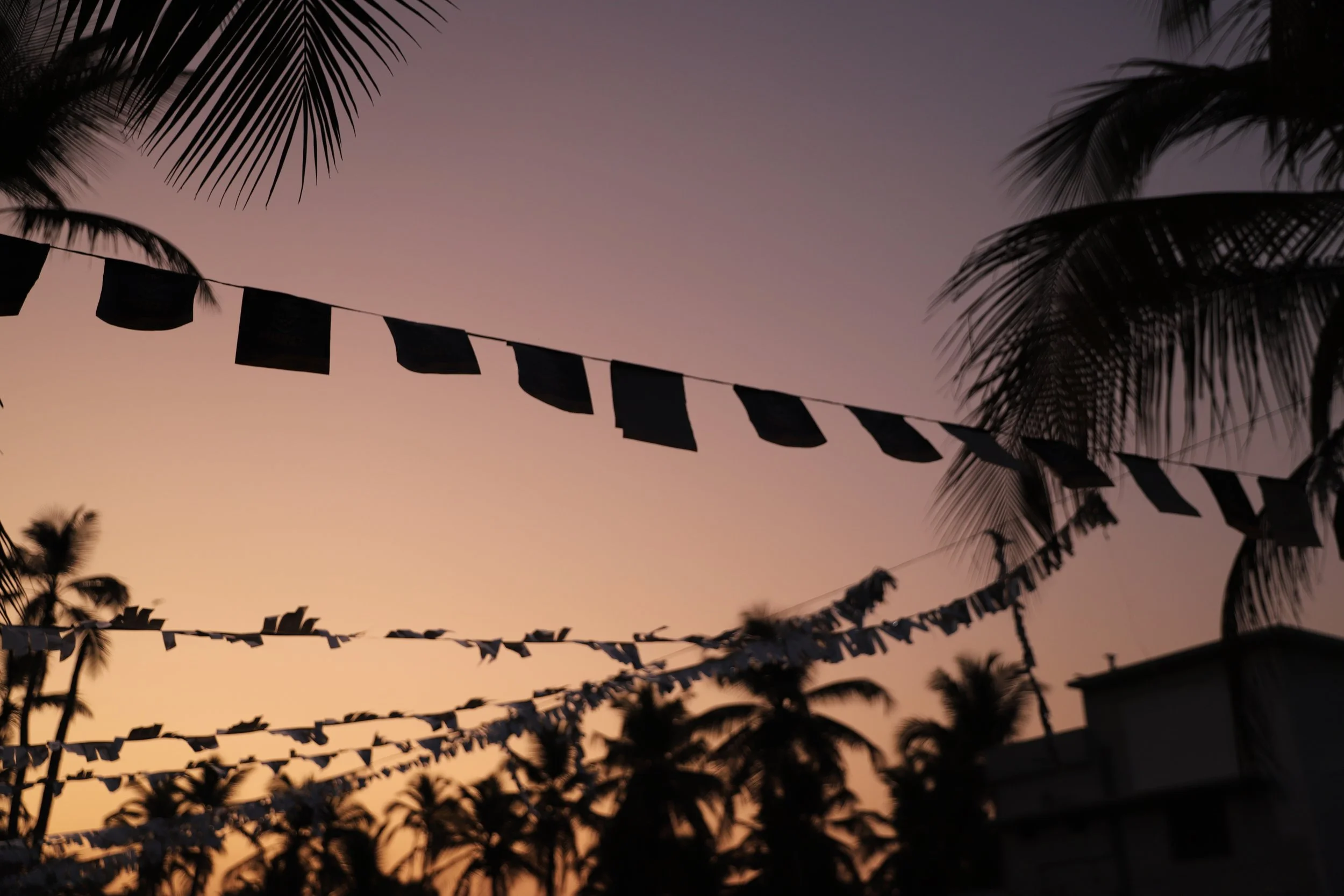 Silhouettes of palm trees and string flags against a sunset sky.