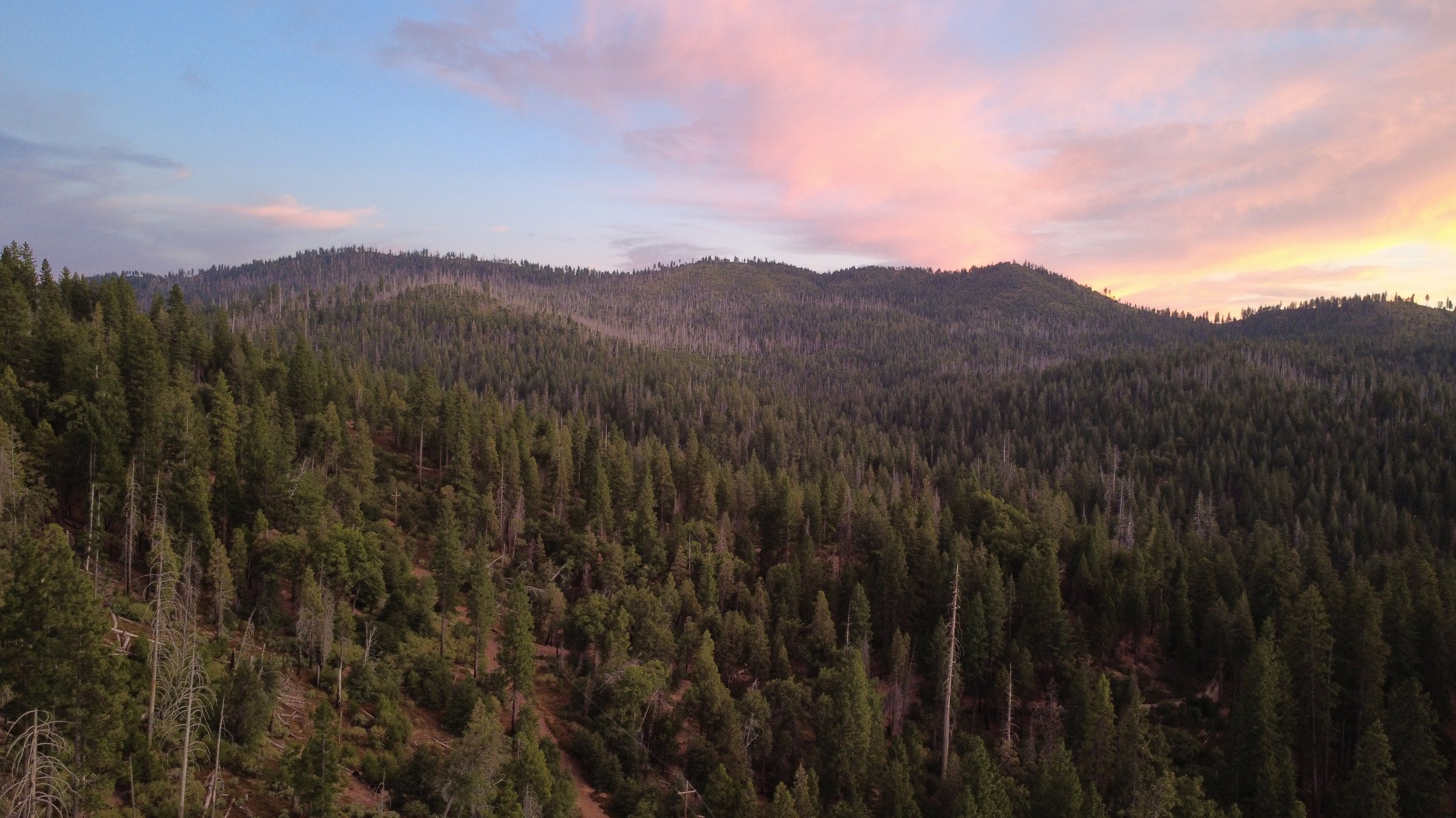 Mountain landscape with dense pine forest and a colorful sky at sunset.