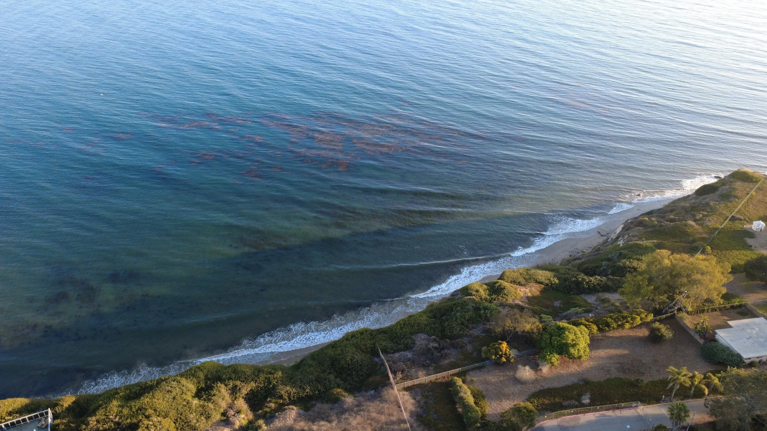 Aerial view of a coastline with waves hitting the shore, greenery, trees, and some buildings.