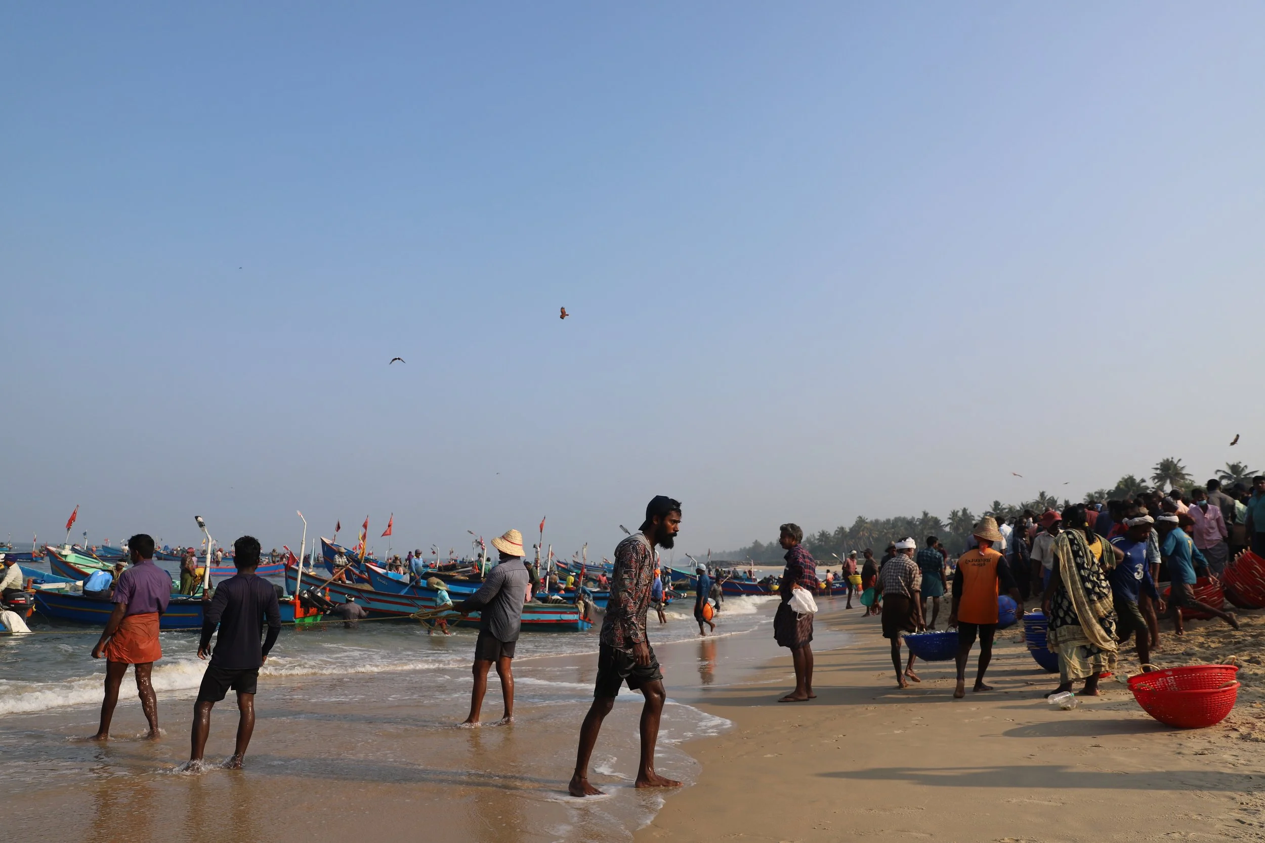 People on a sandy beach with boats in the water and a clear blue sky, some people are wading in the shallow water, others are preparing or unloading boats, with palm trees visible in the background.