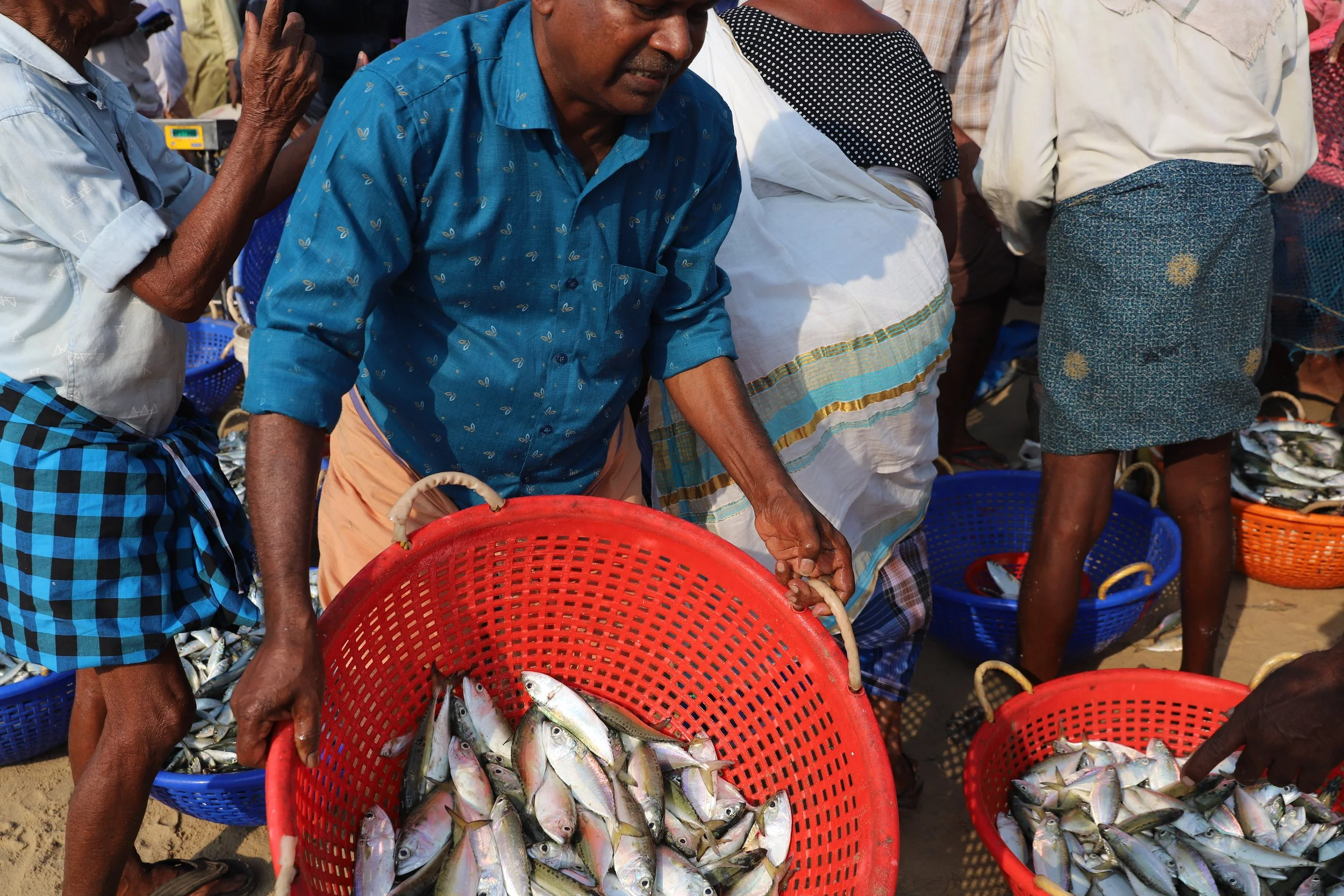 People at a fish market holding large red baskets filled with small fish.