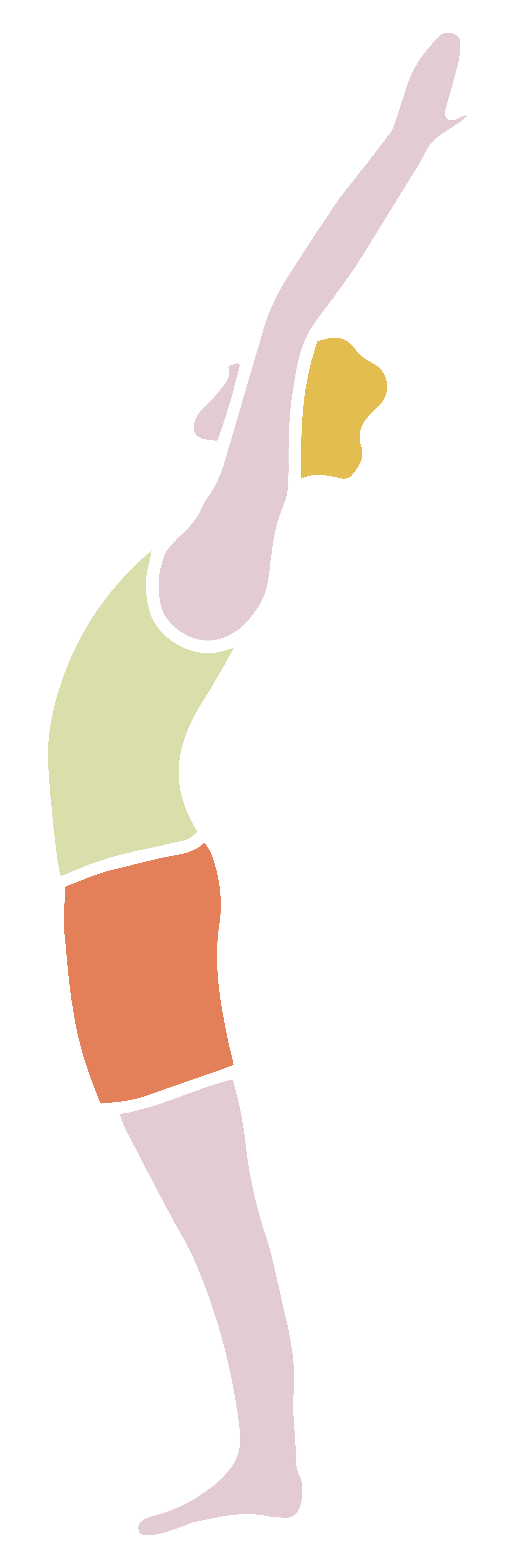 Wellness tracker for women 40+