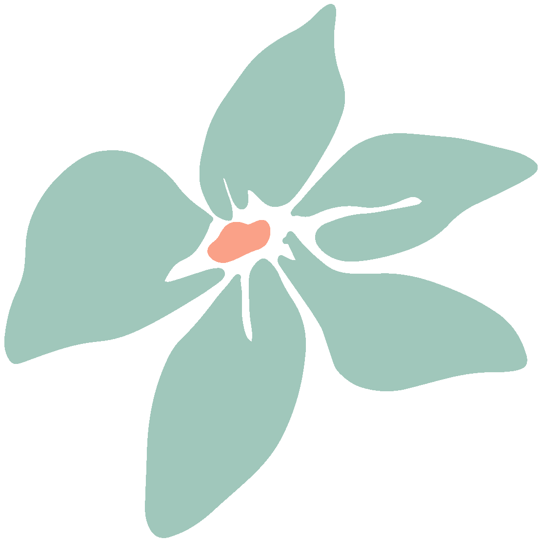 Group of midlife women stretching together outdoors