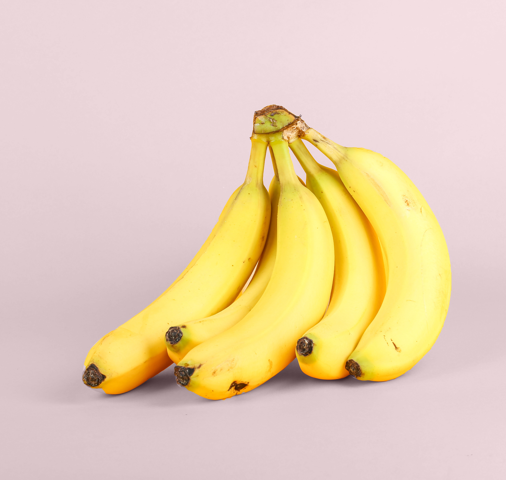 WildKind Wellness fitness app on mobile screen