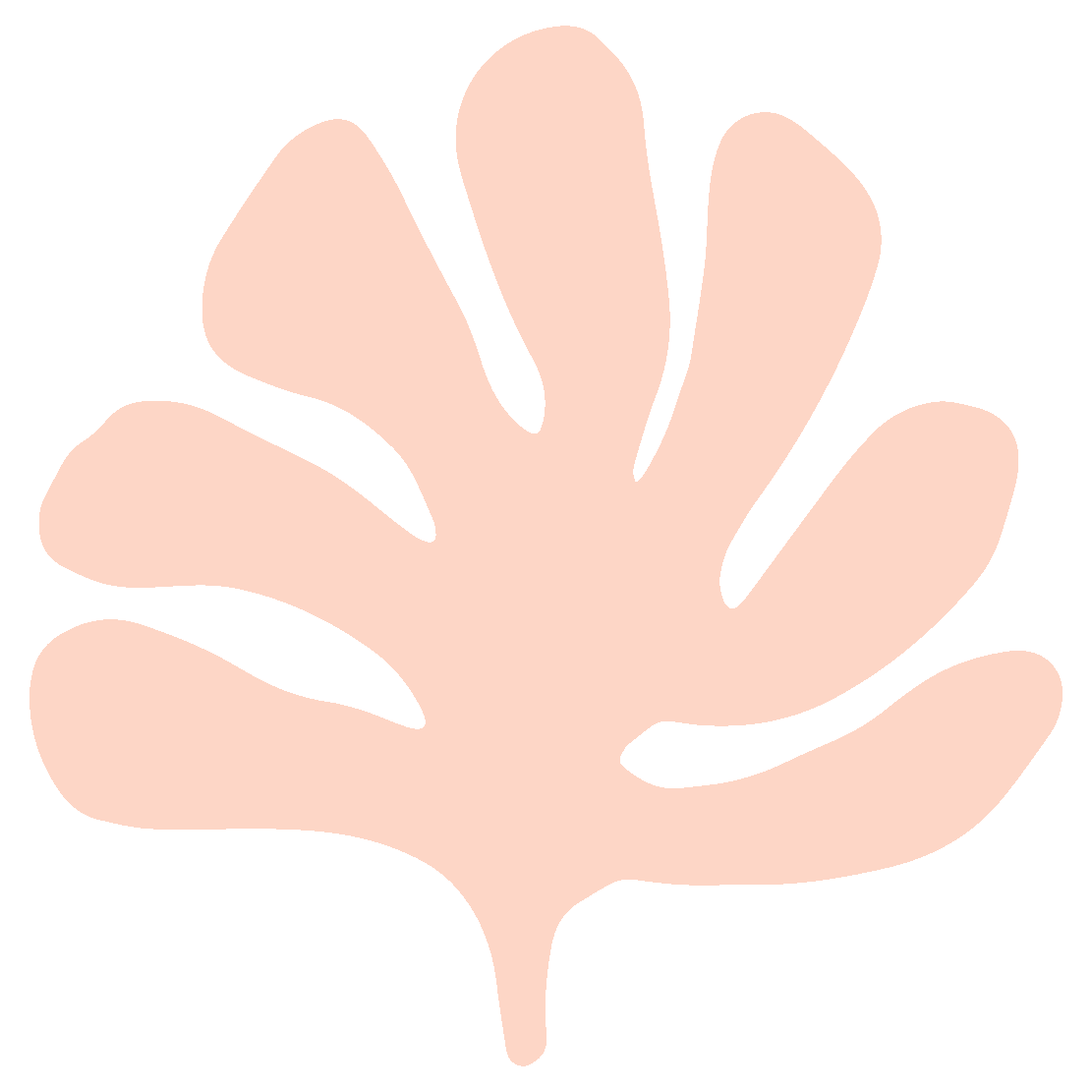 Strength training workout for women in their 40s