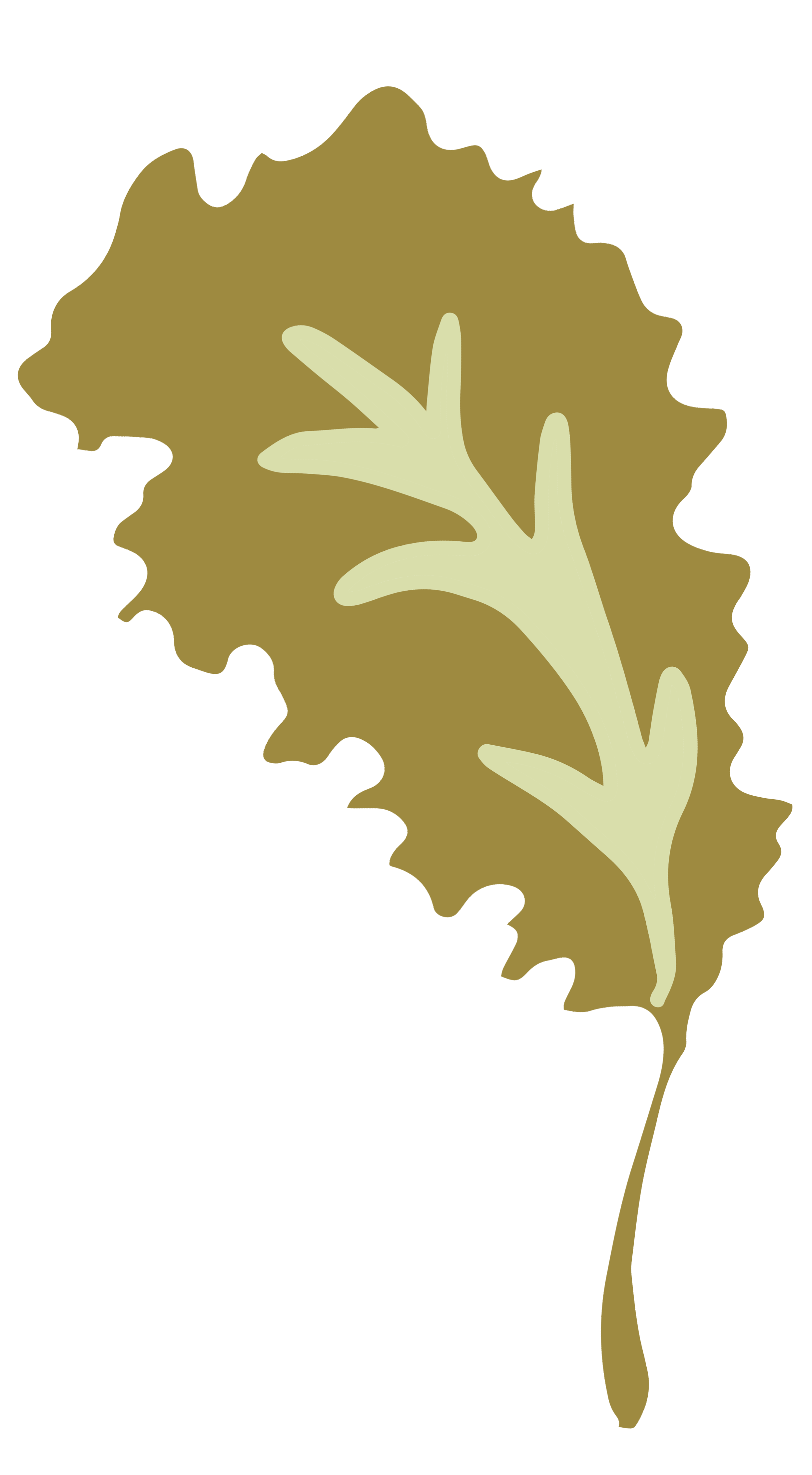 Inspirational gift box for women 40+