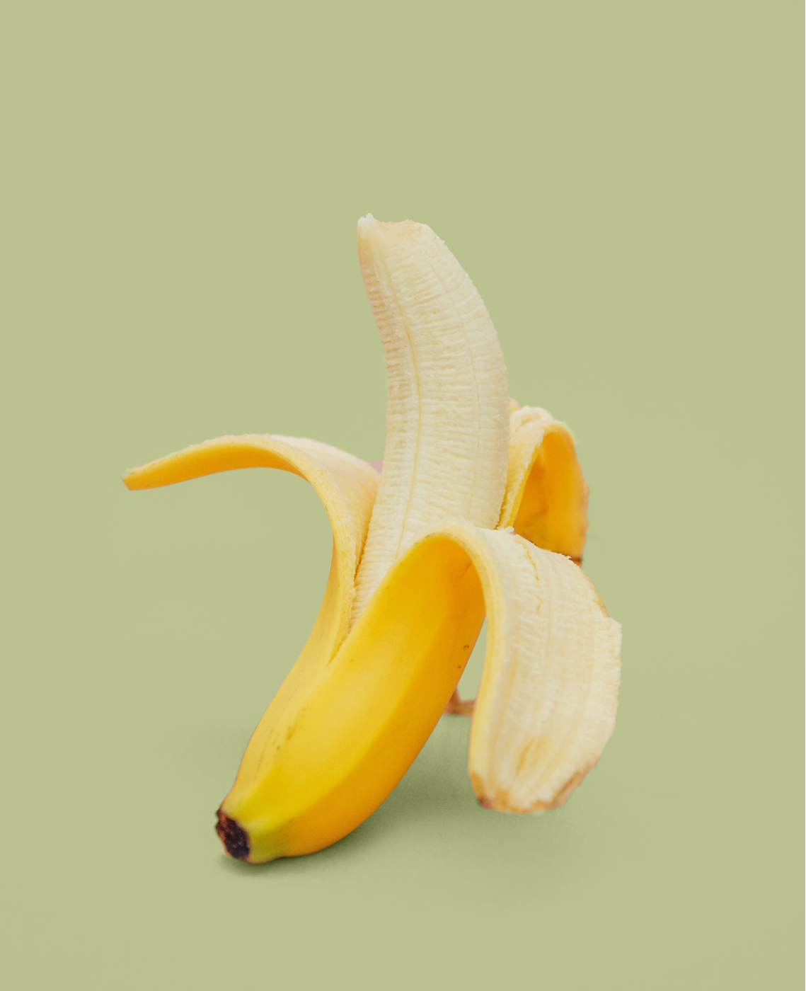 Daily wellness planner for women over 40