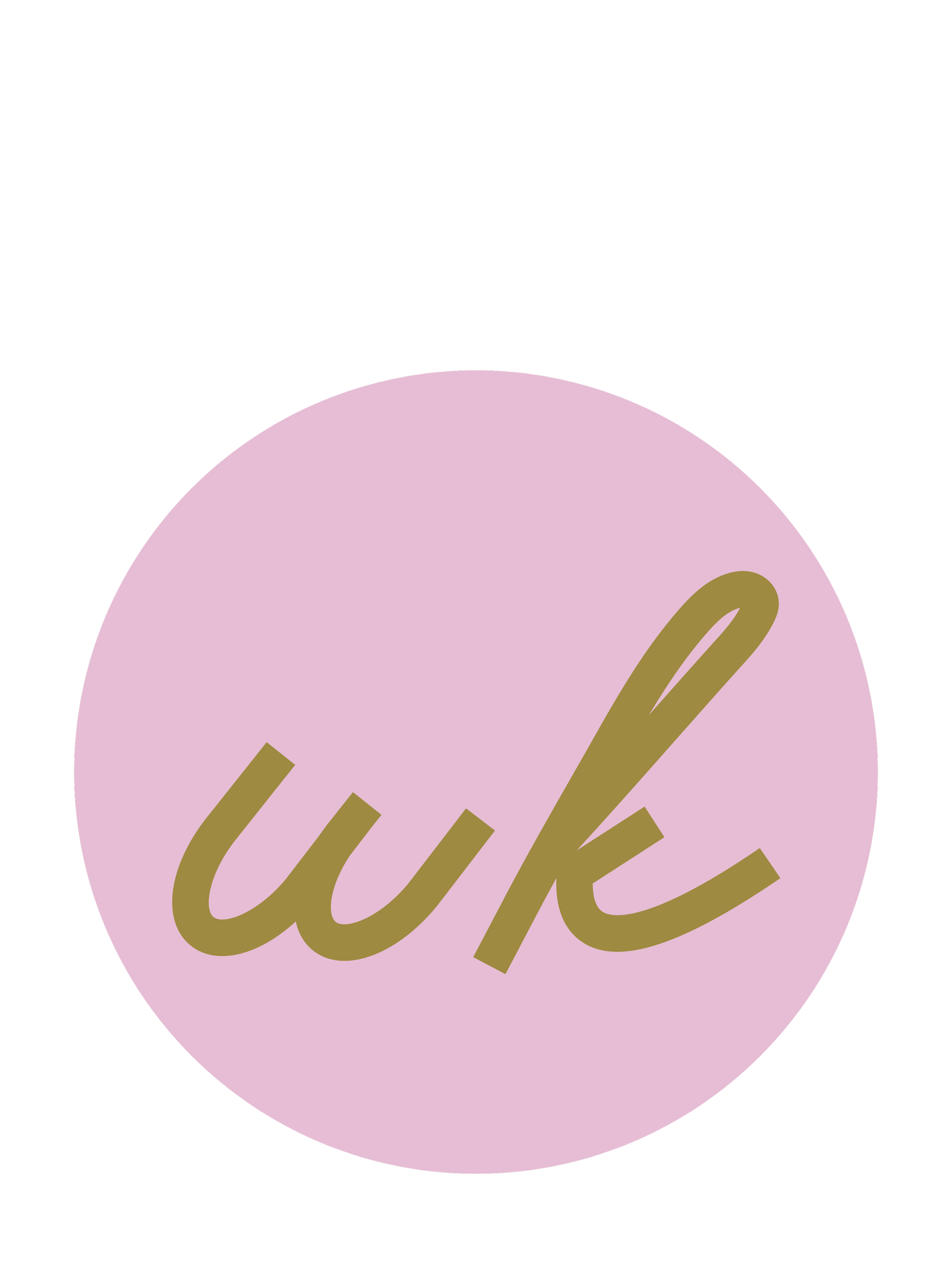 WildKind Travel brand icon featuring a soft pink circle with hand-lettered ‘wk’ in gold.