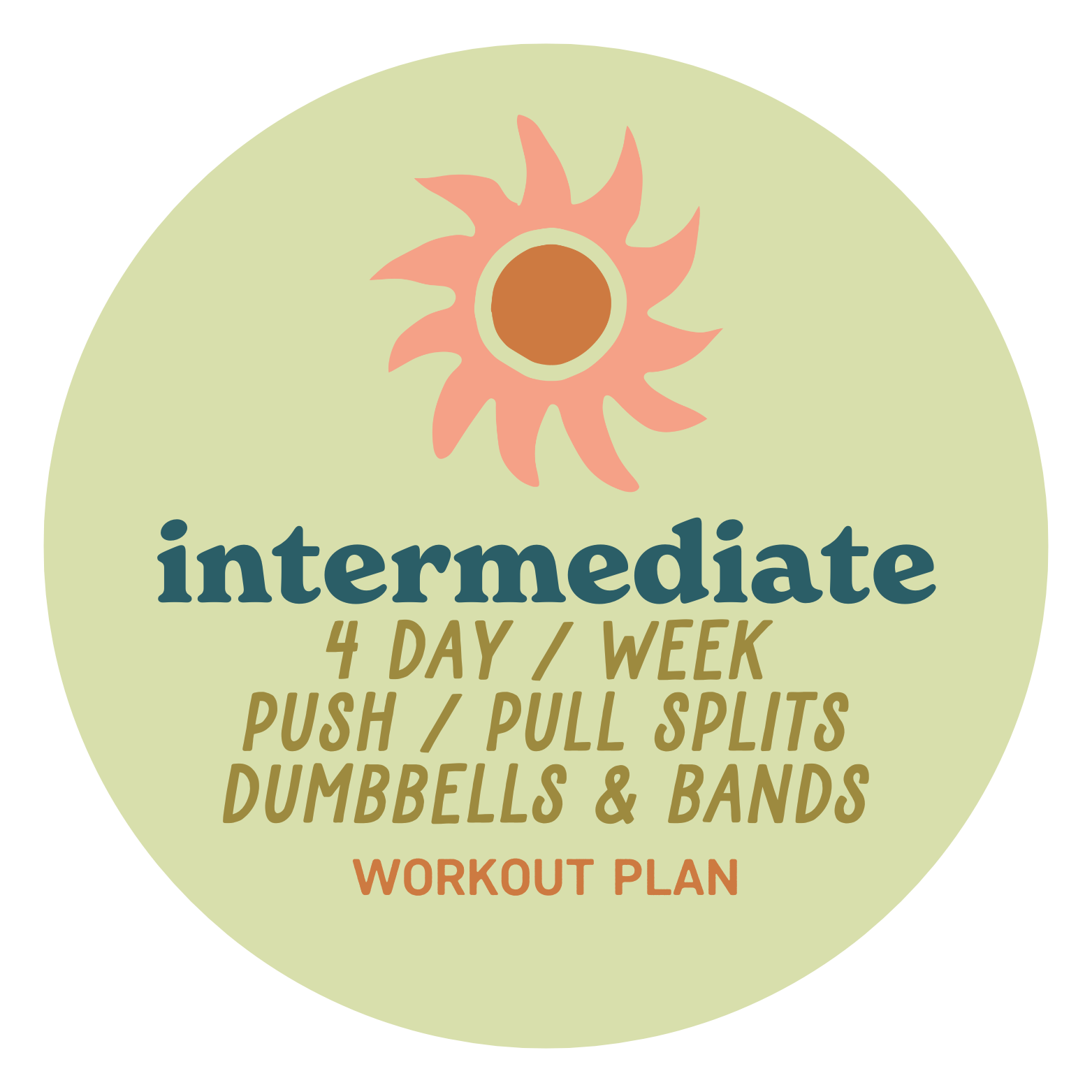 A circular infographic for an intermediate workout plan with a sun graphic at the top, including a 4-day-per-week push and pull split with dumbbells and bands, and a note that it is a workout plan.