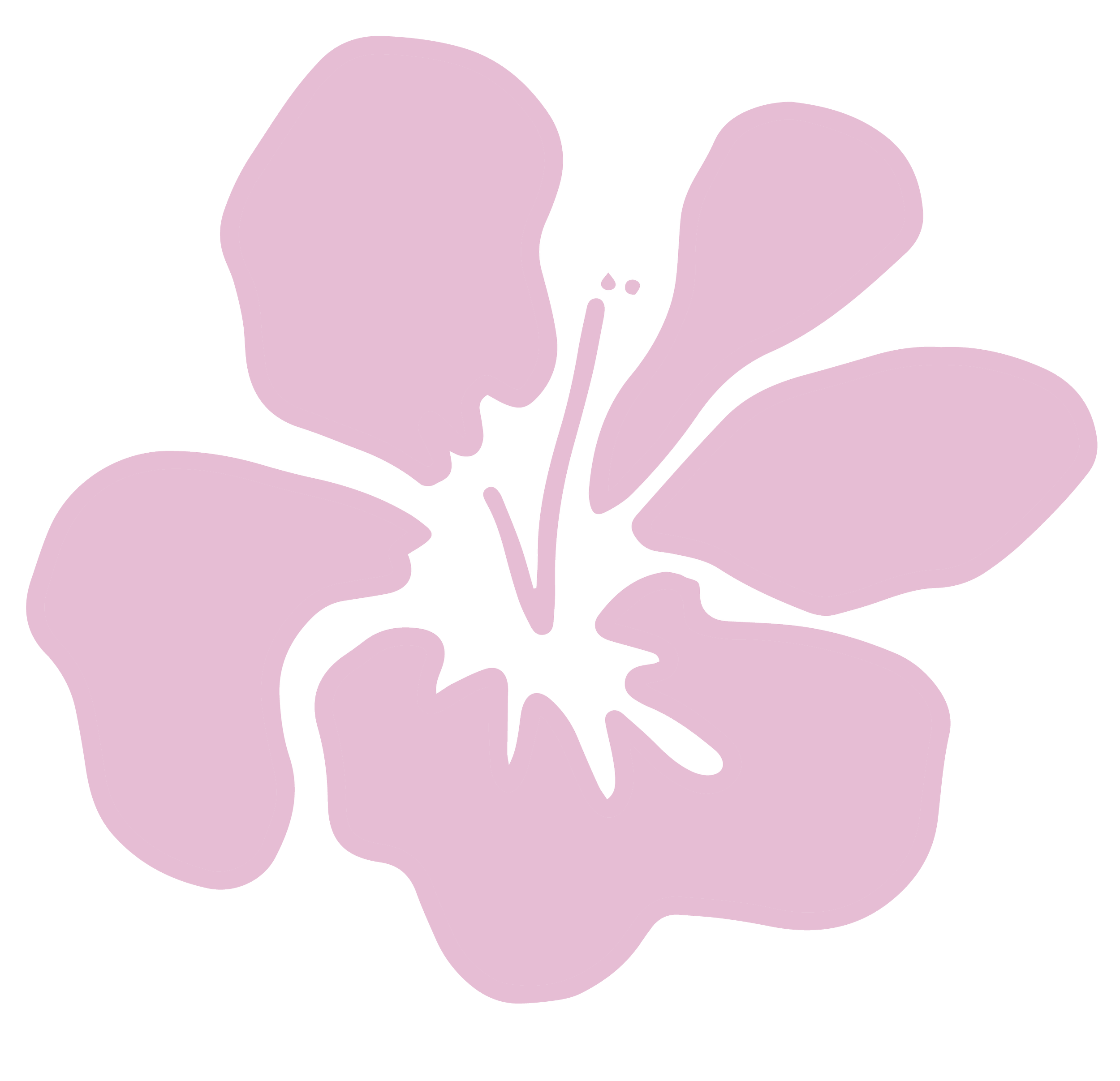 wildkind travel lavender flower illustration